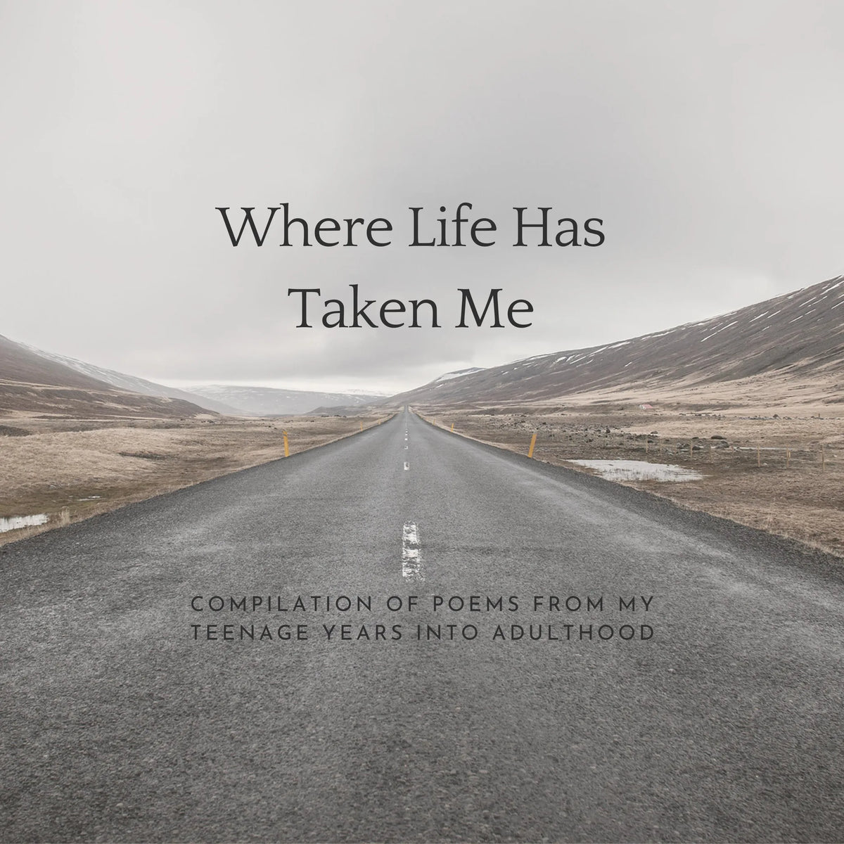 Where Life Has Taken Me