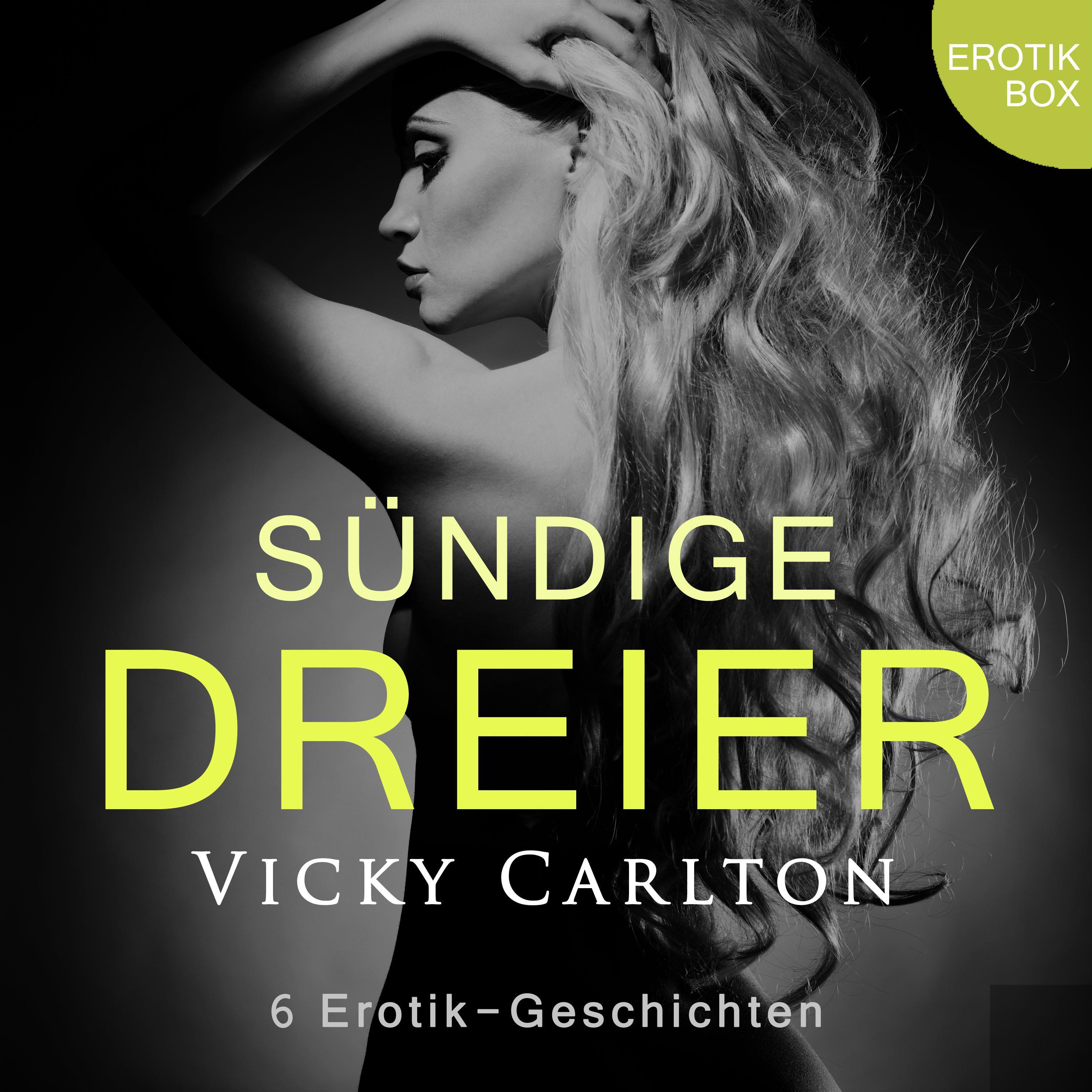 Sündige Dreier. Erotik-Box