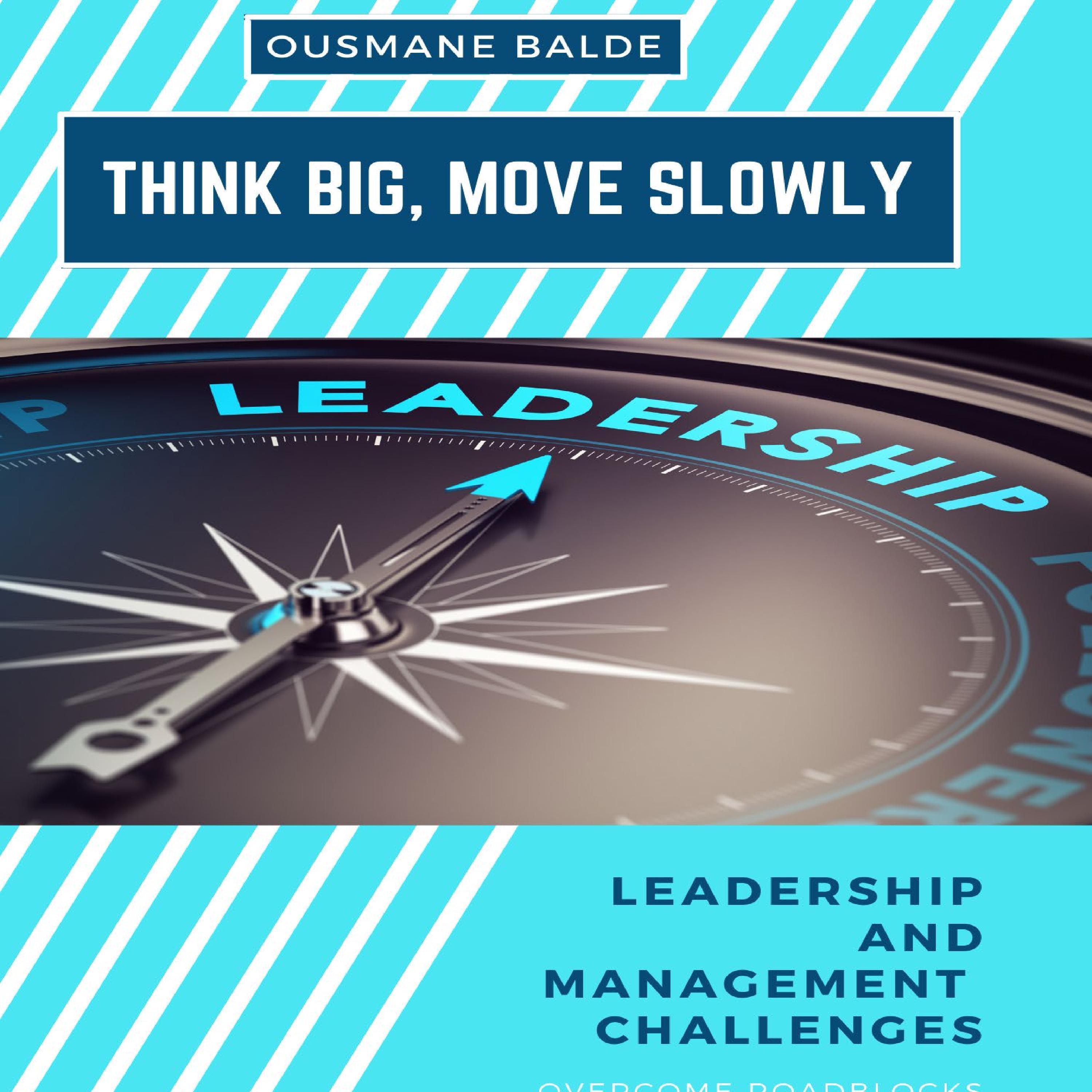 THINK BIG, MOVE SLOWLY