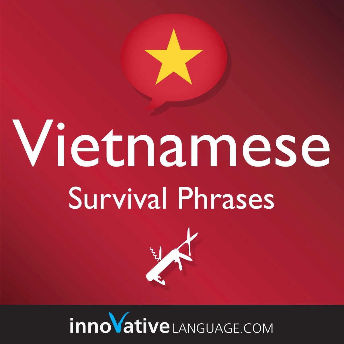 Learn Vietnamese: Survival Phrases Vietnamese