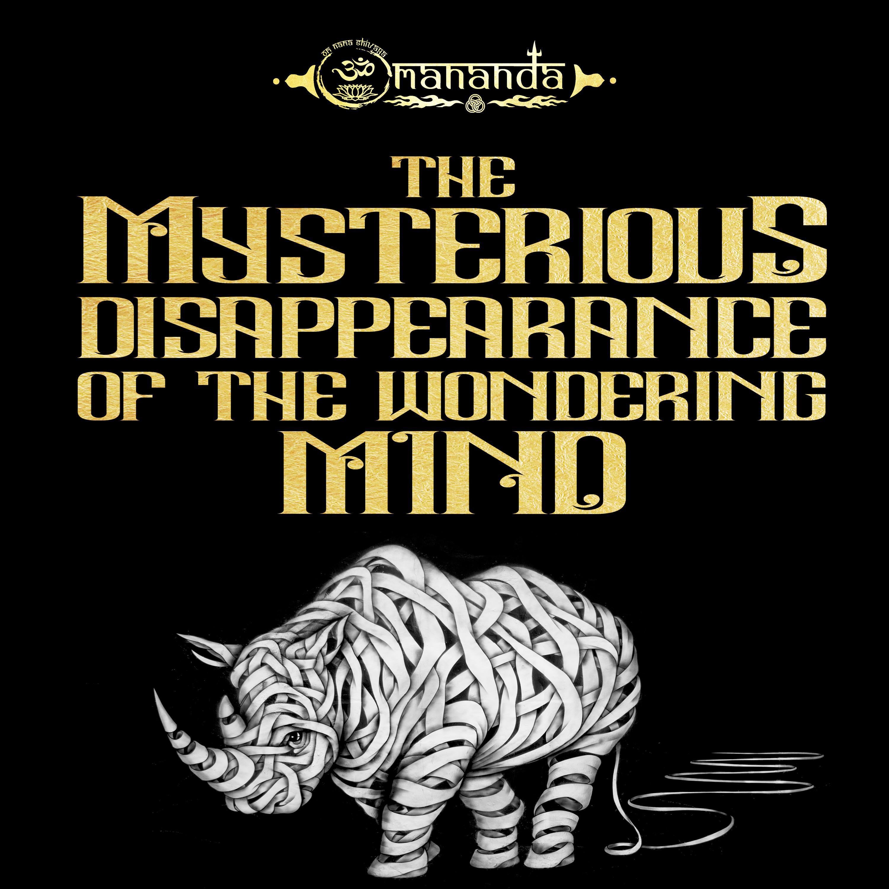 The Mysterious Disappearance of the Wondering Mind