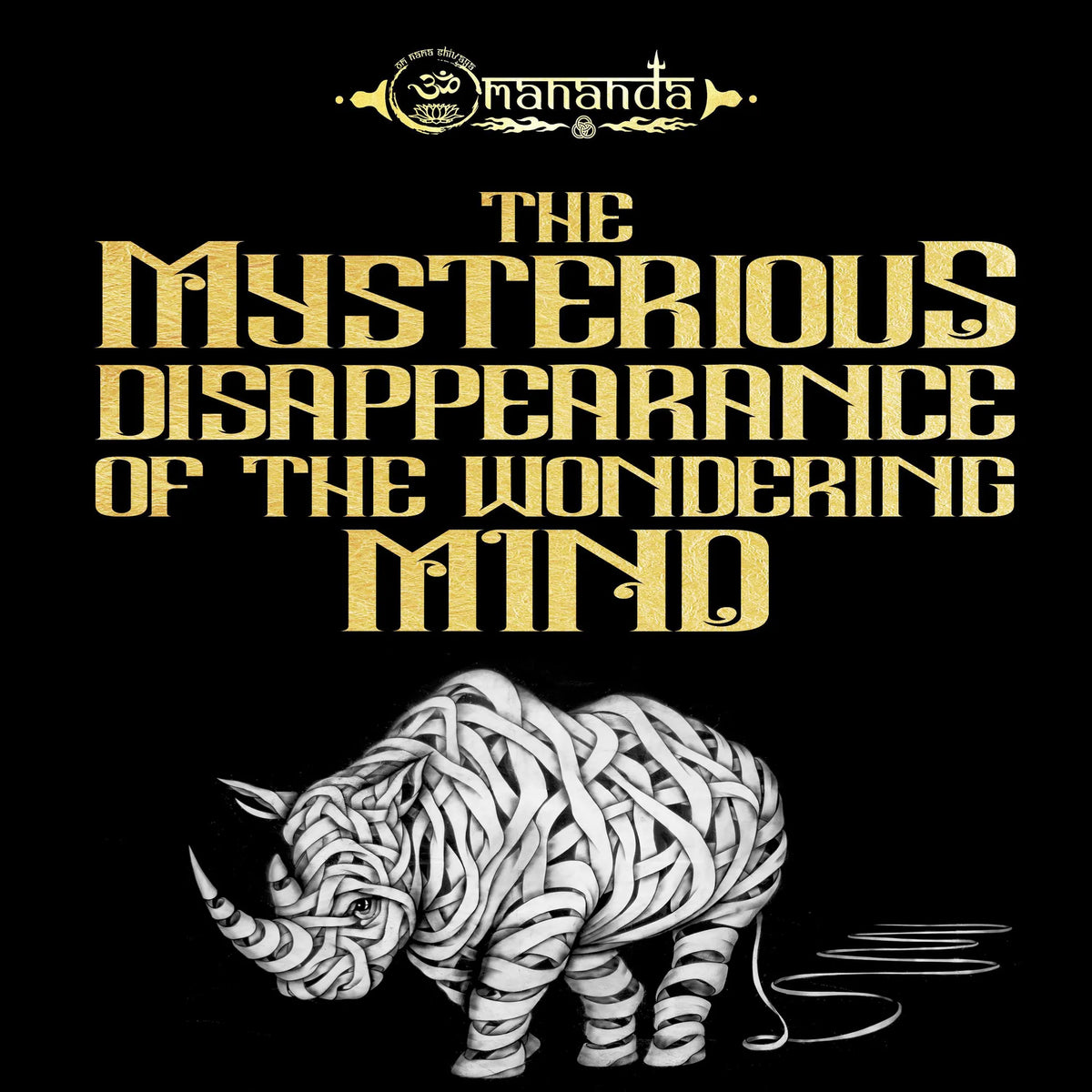 The Mysterious Disappearance of the Wondering Mind