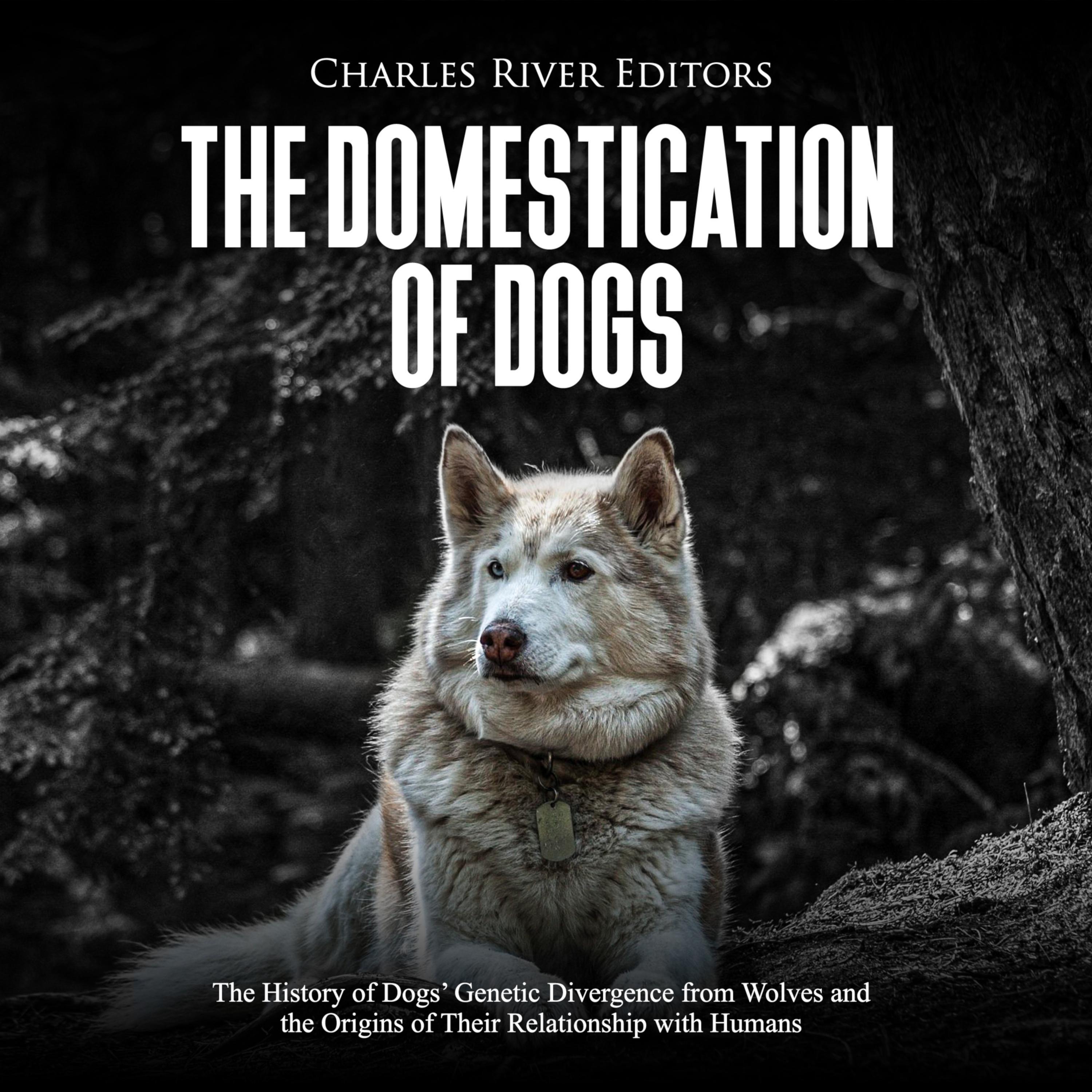 The Domestication of Dogs: The History of Dogs' Genetic Divergence from Wolves and the Origins of Their Relationship with Humans