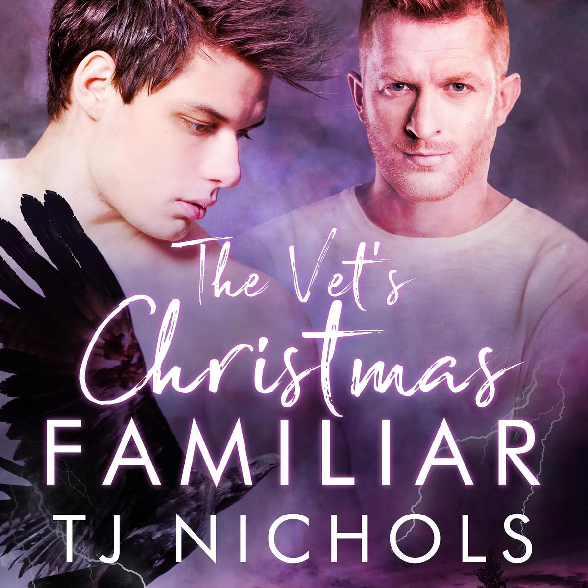 The Vet's Christmas Familiar