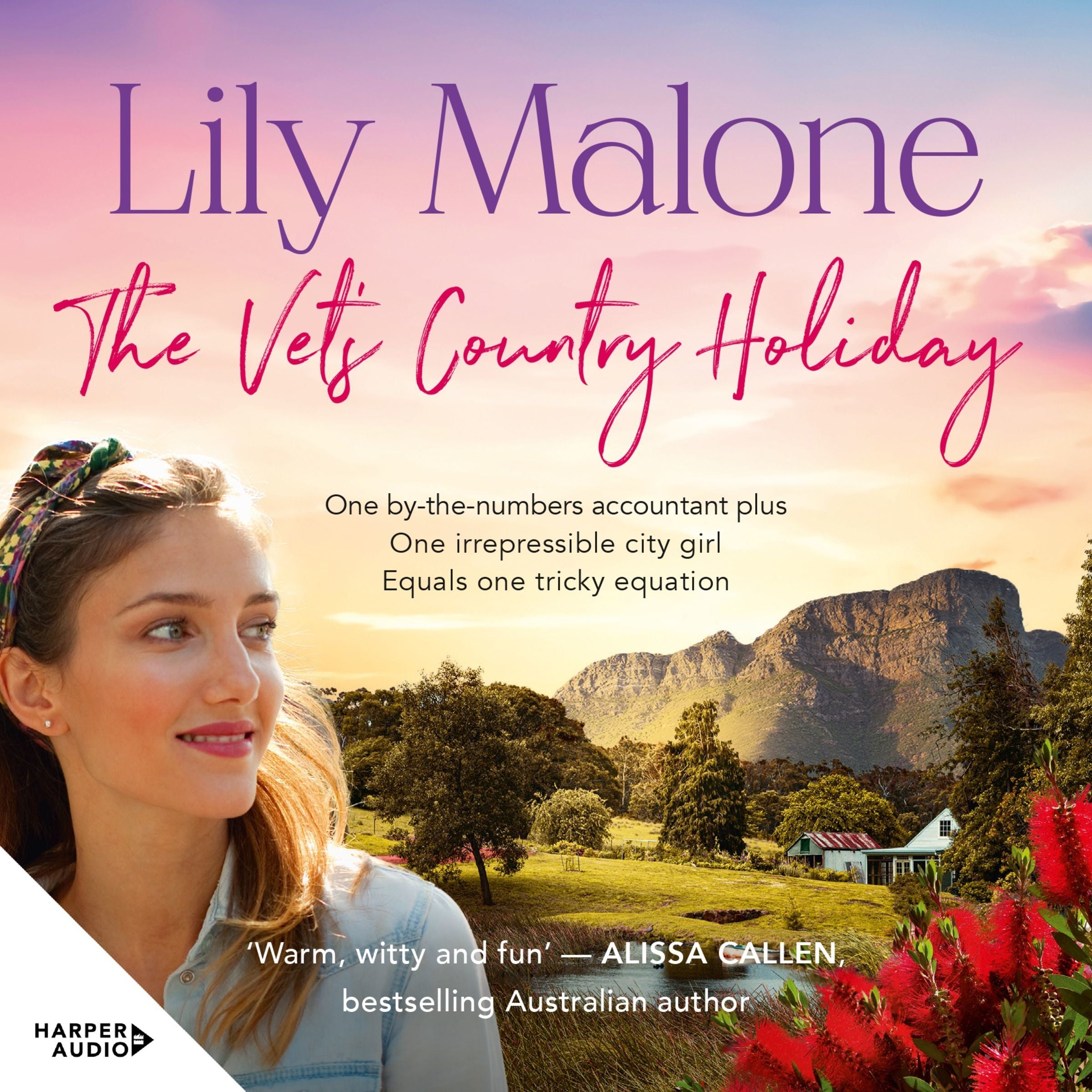 The Vet's Country Holiday