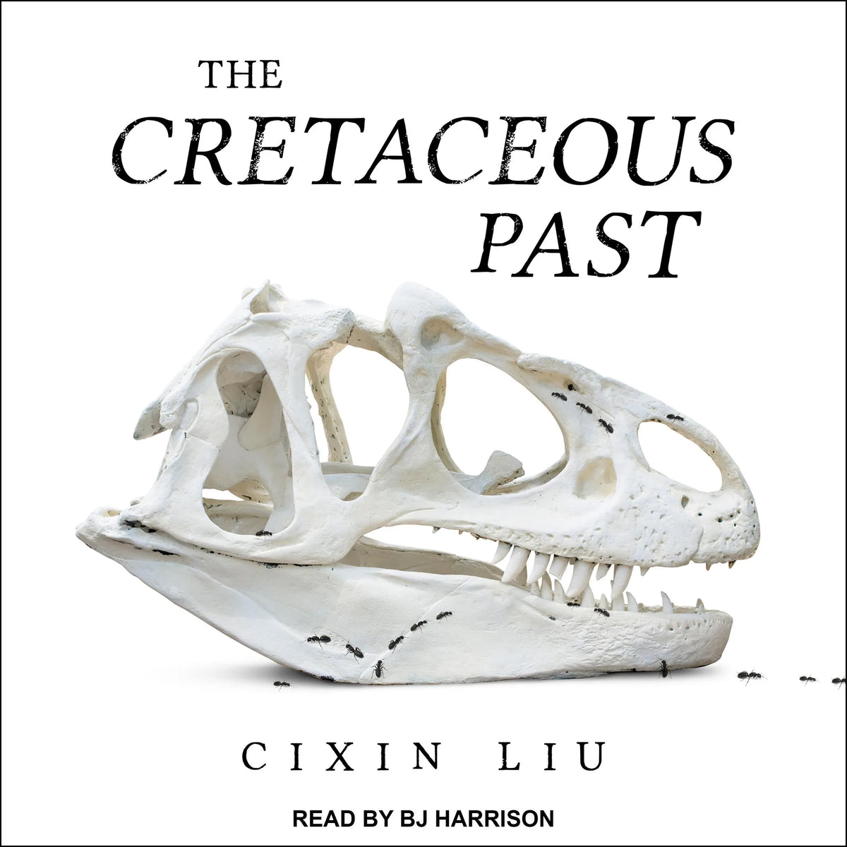 The Cretaceous Past