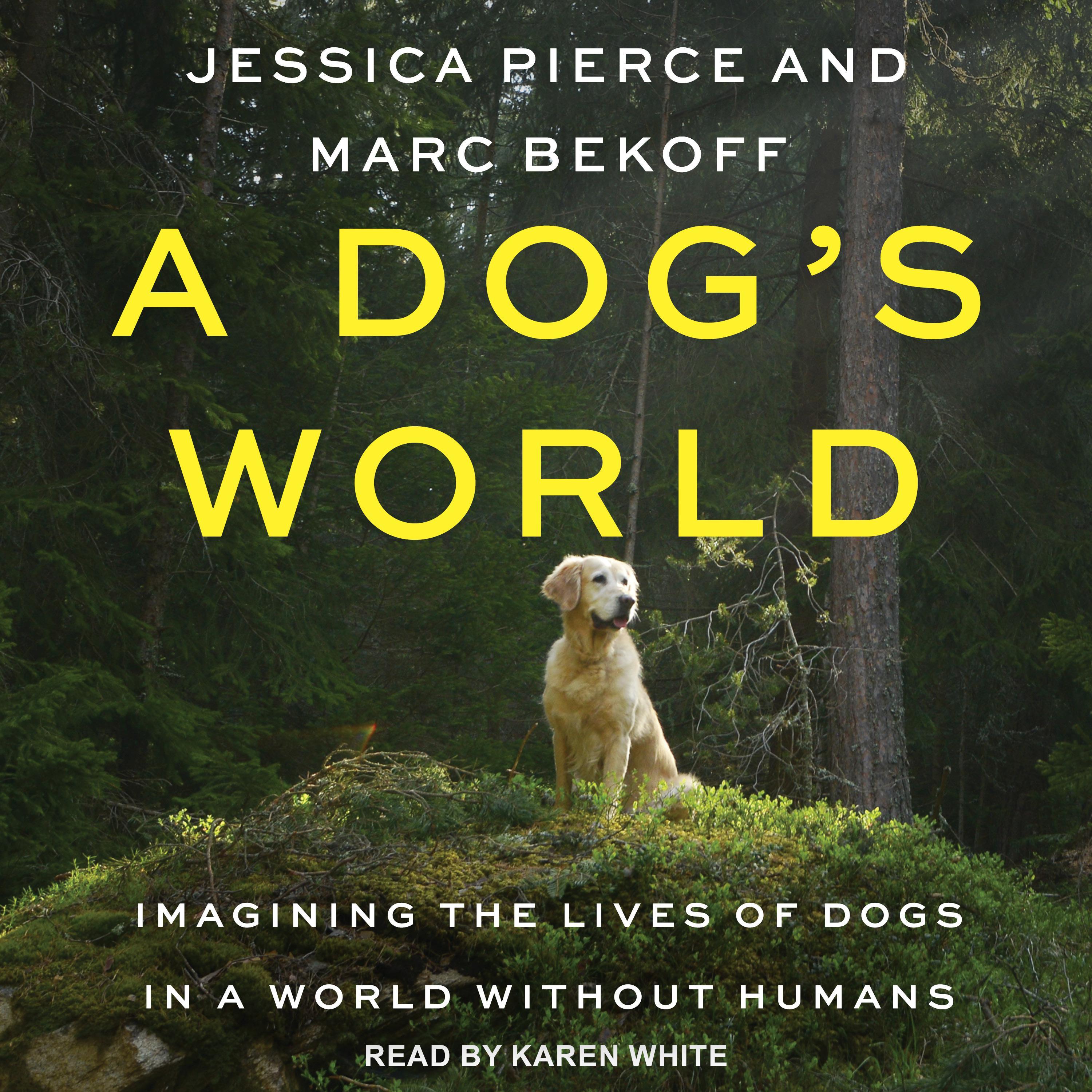 A Dog's World