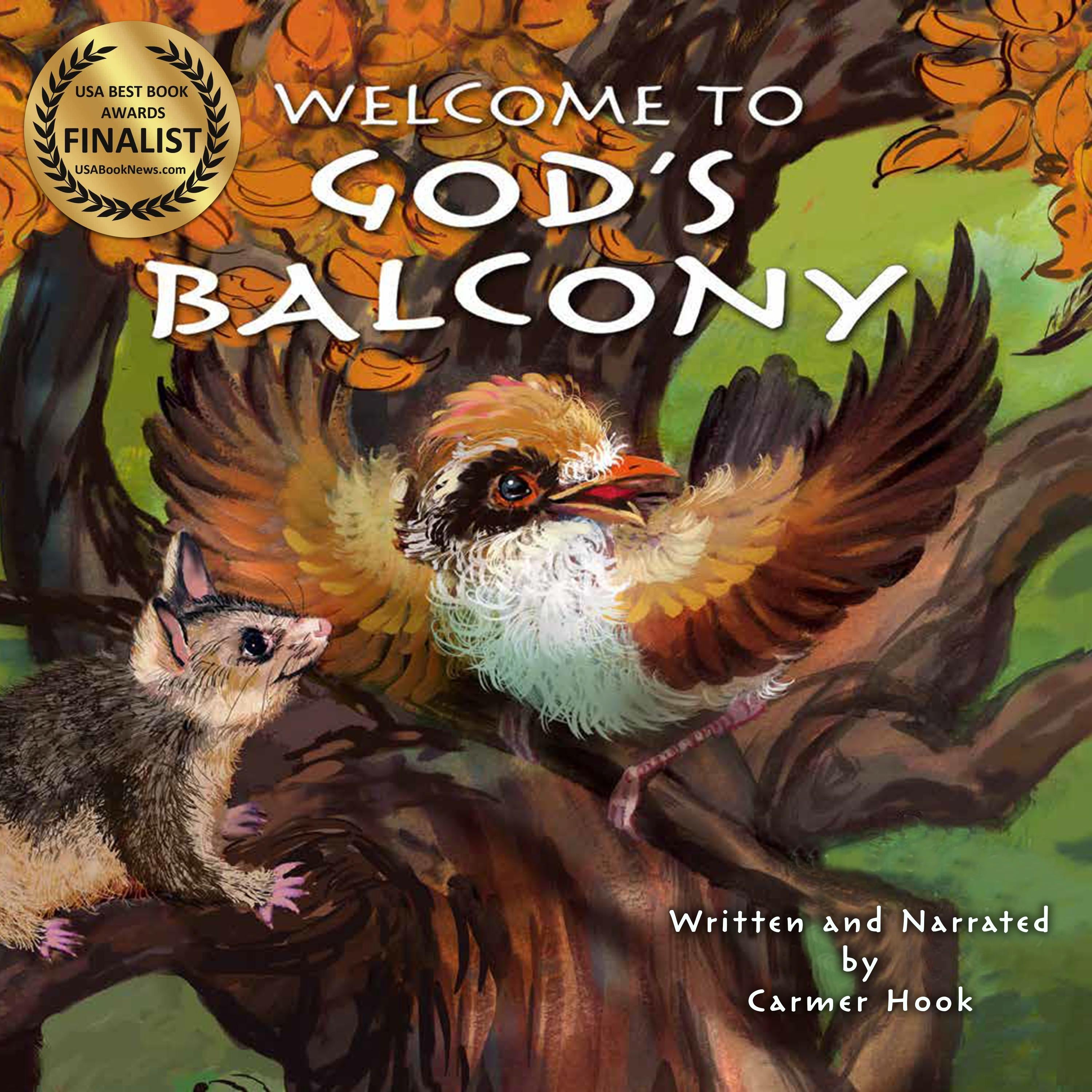 Welcome To God's Balcony