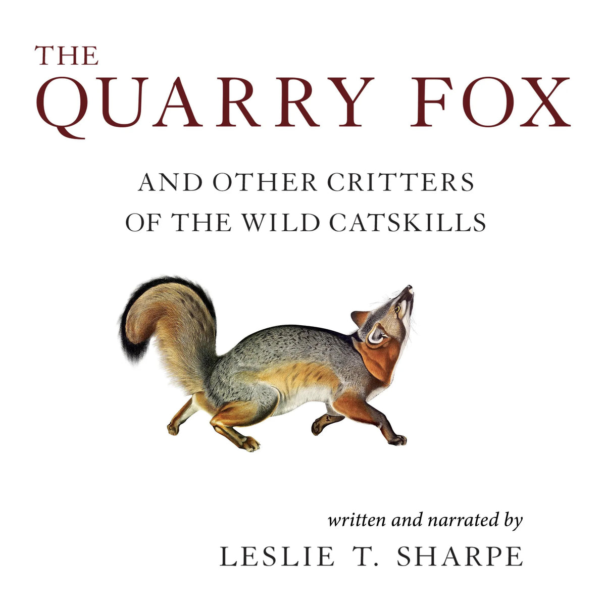 The Quarry Fox