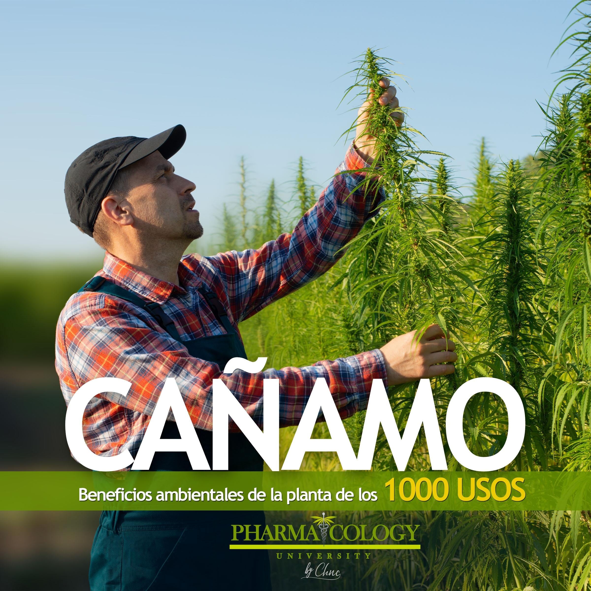 CAÑAMO