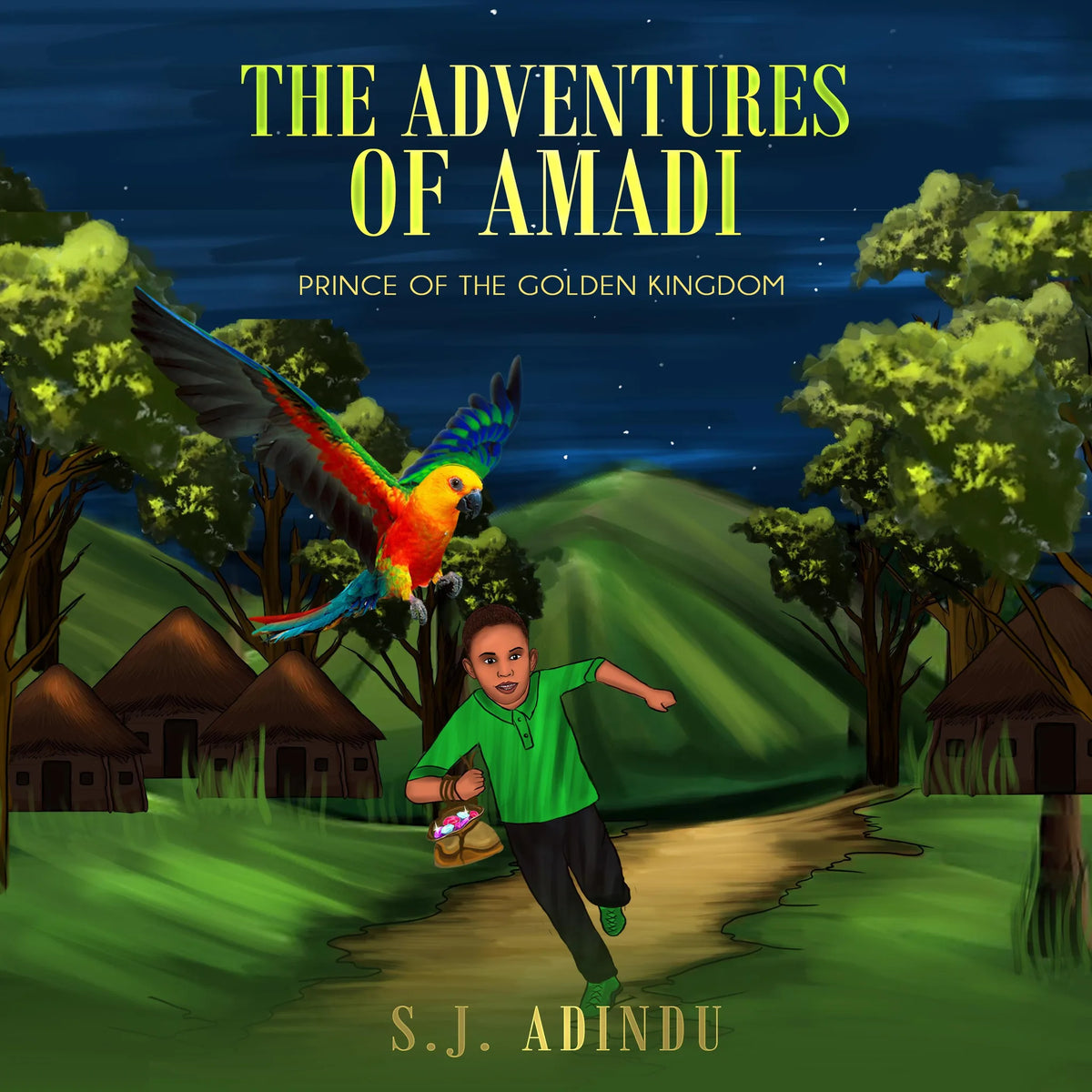 The Adventures of Amadi