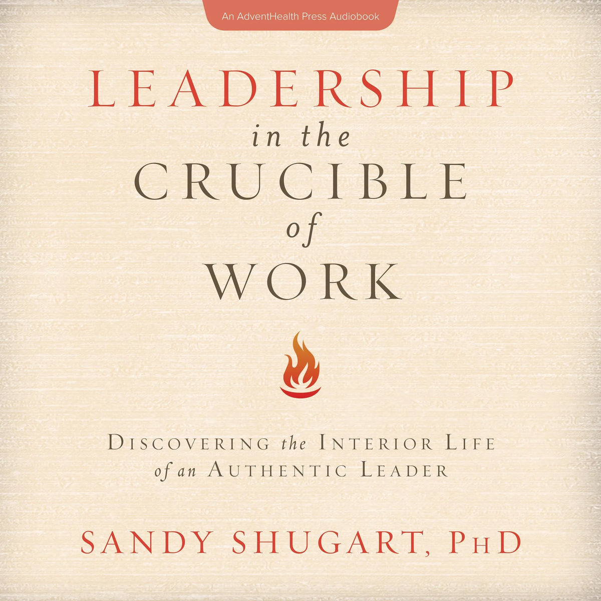 Leadership in the Crucible of Work