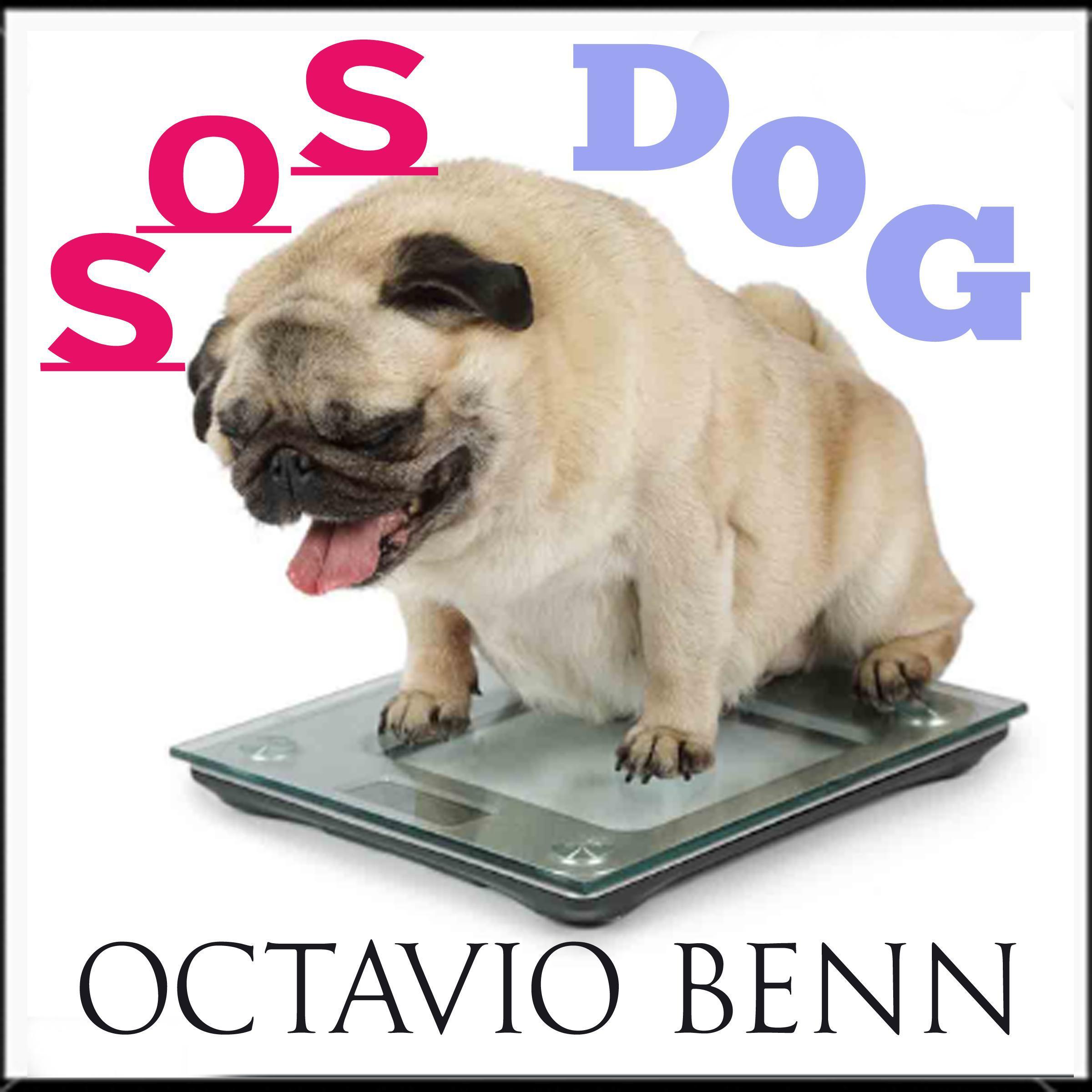 SOS Dog