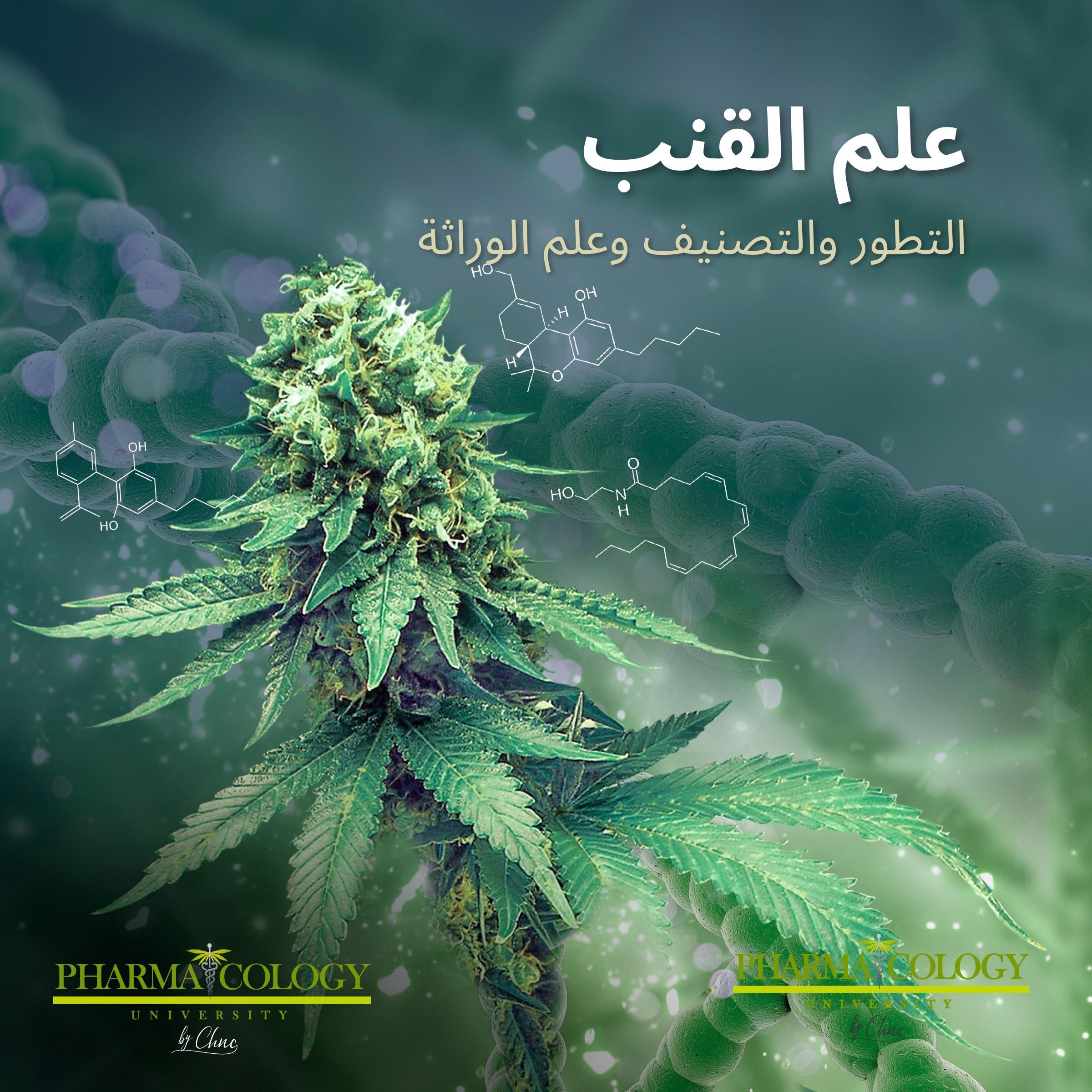 علم القنب