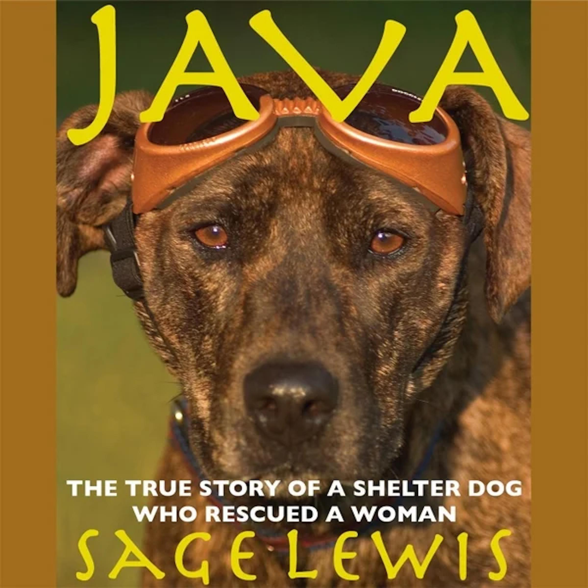 Java