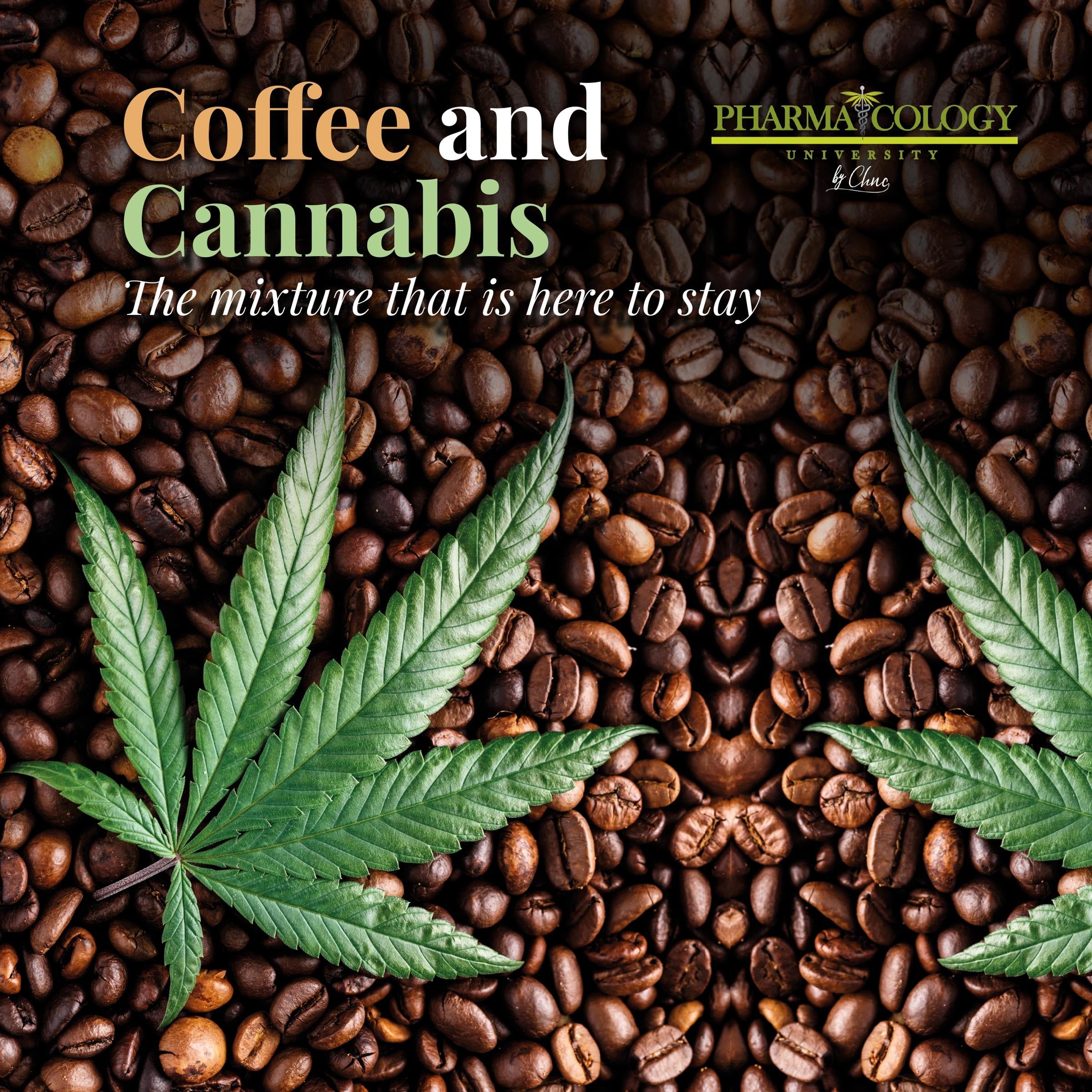 Coffee and Cannabis