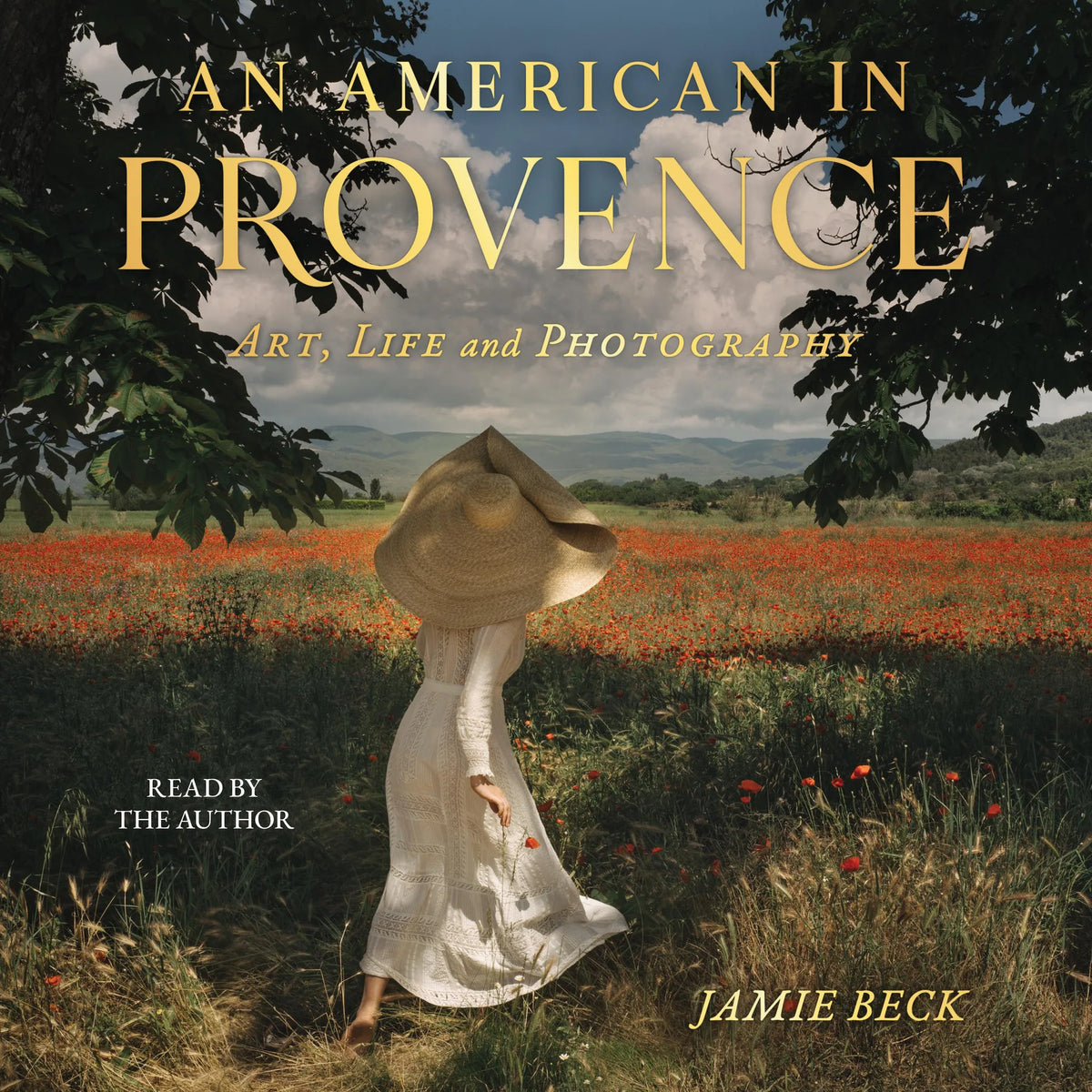 An American in Provence