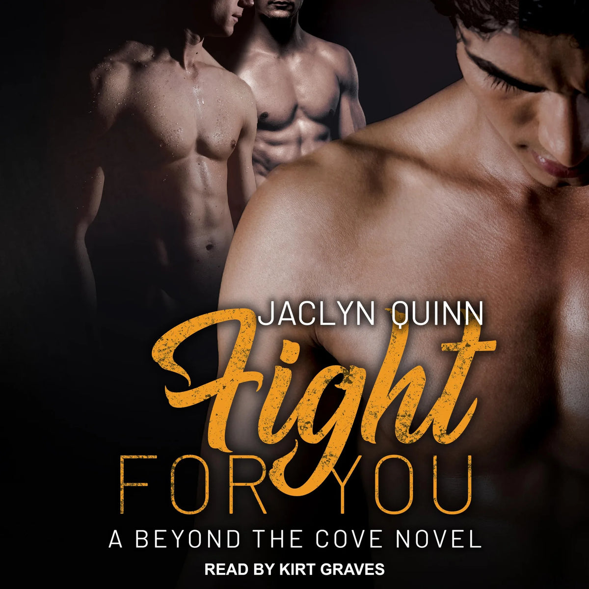 Fight for You