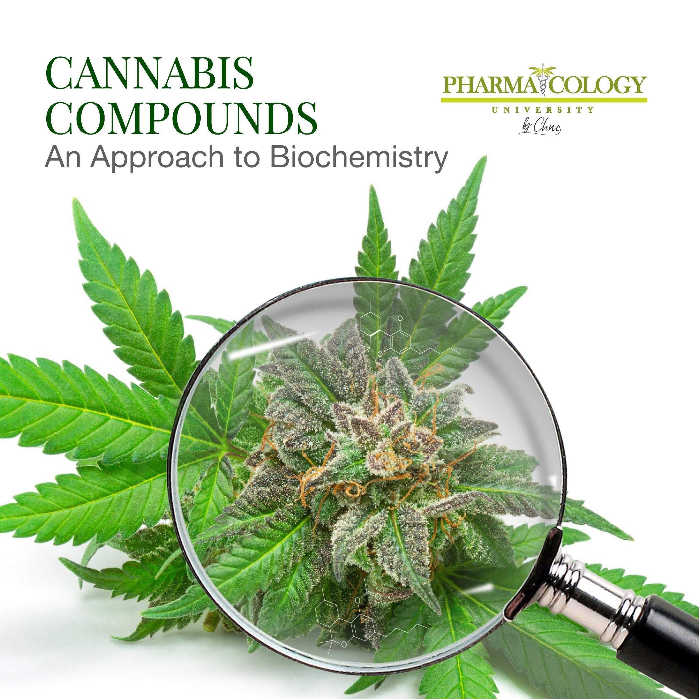 Cannabis Compounds