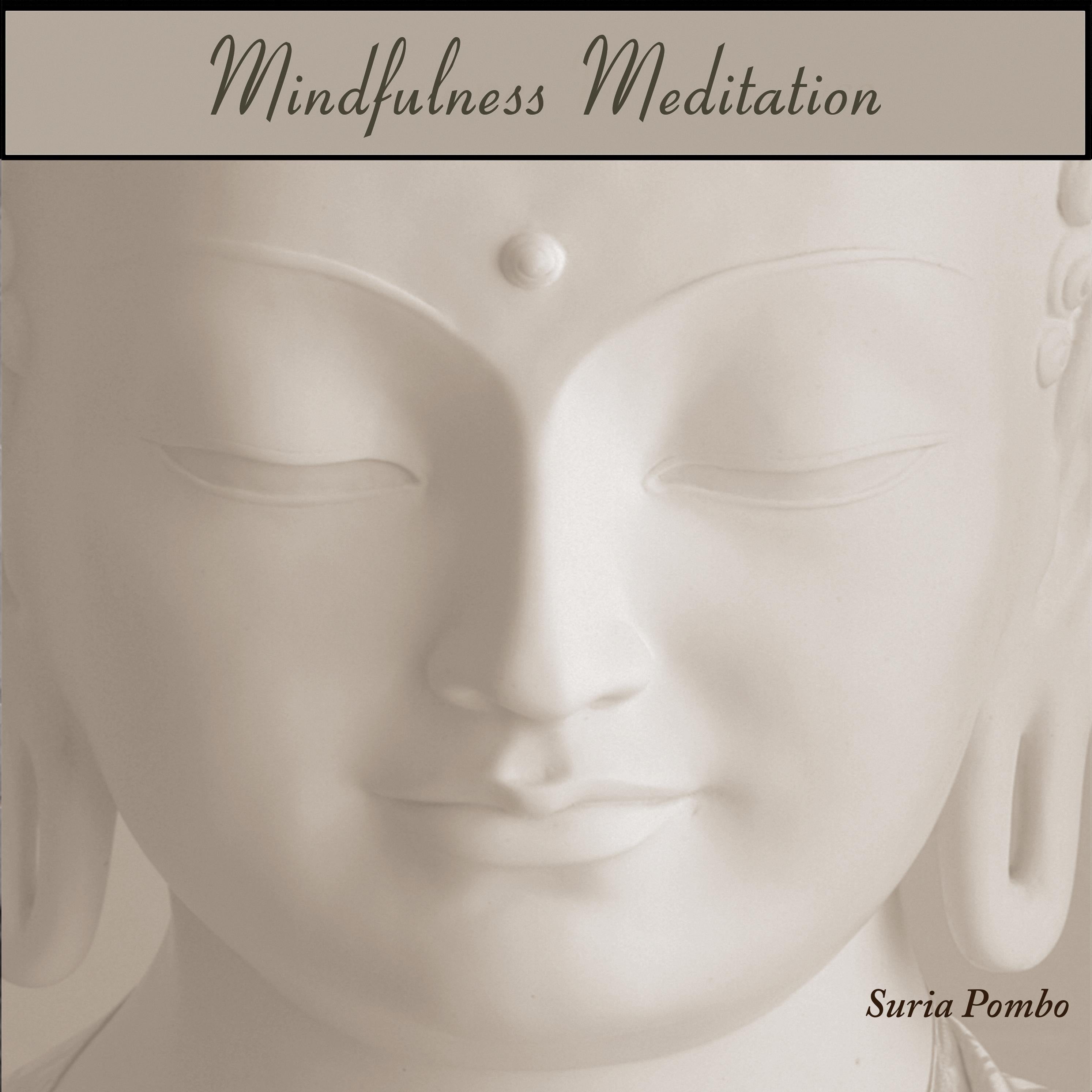 MINDFULNESS MEDITATION