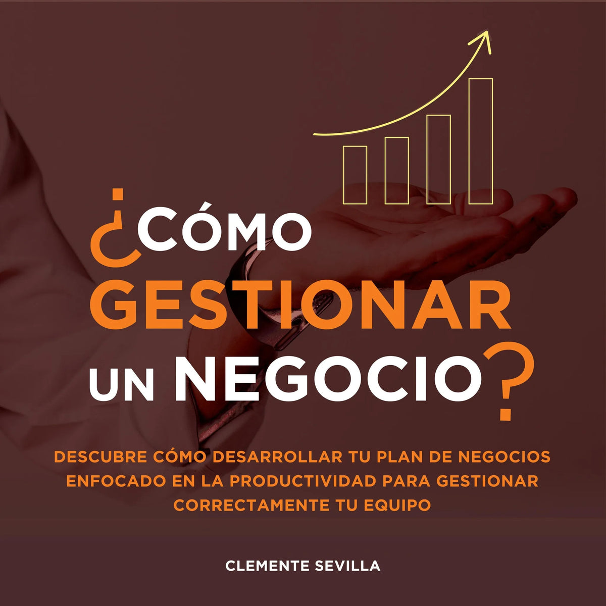 Cómo gestionar un negocio: Descubre cómo desarrollar tu plan de negocios enfocado en la productividad para gestionar correctamente tu equipo