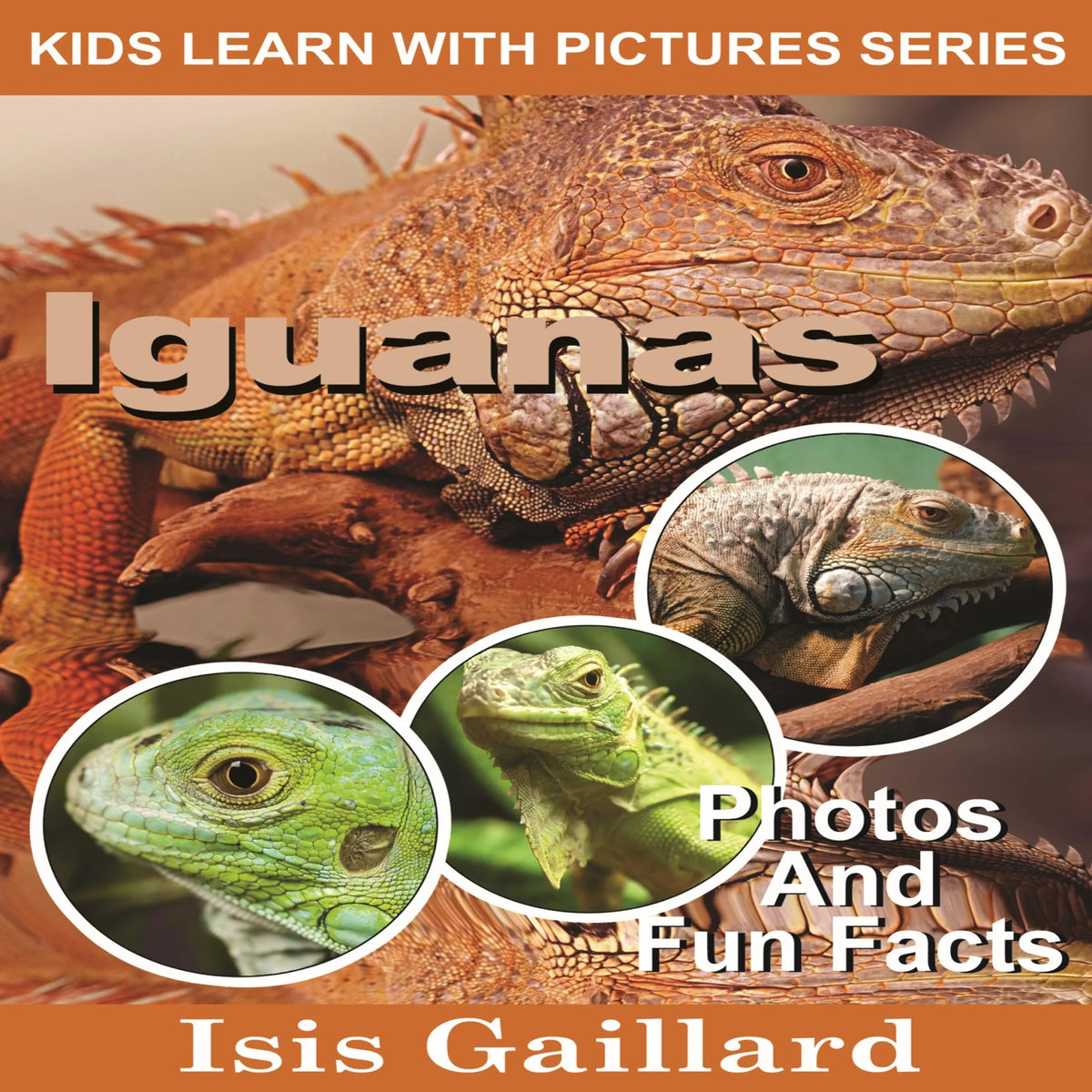 Iguanas