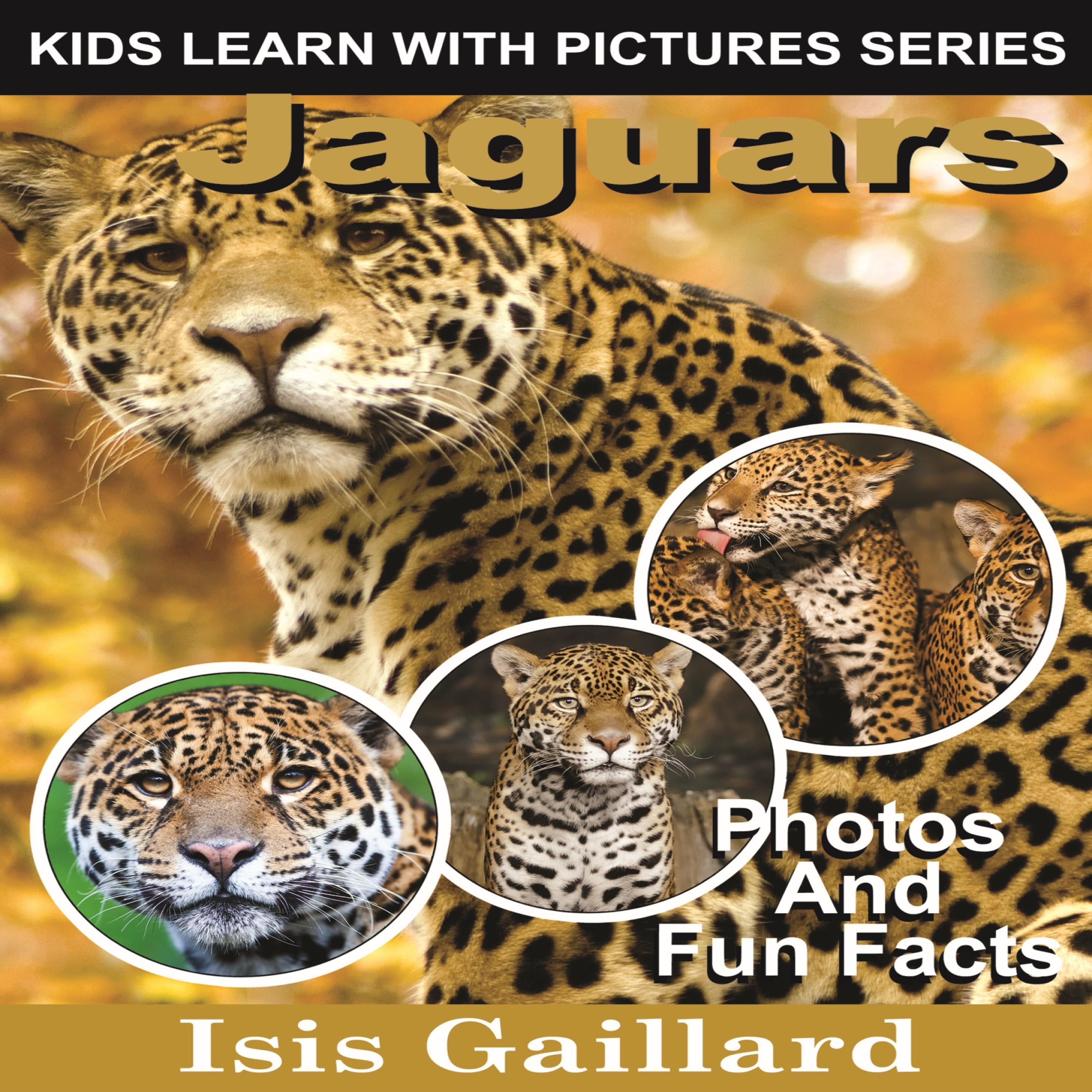 Jaguars