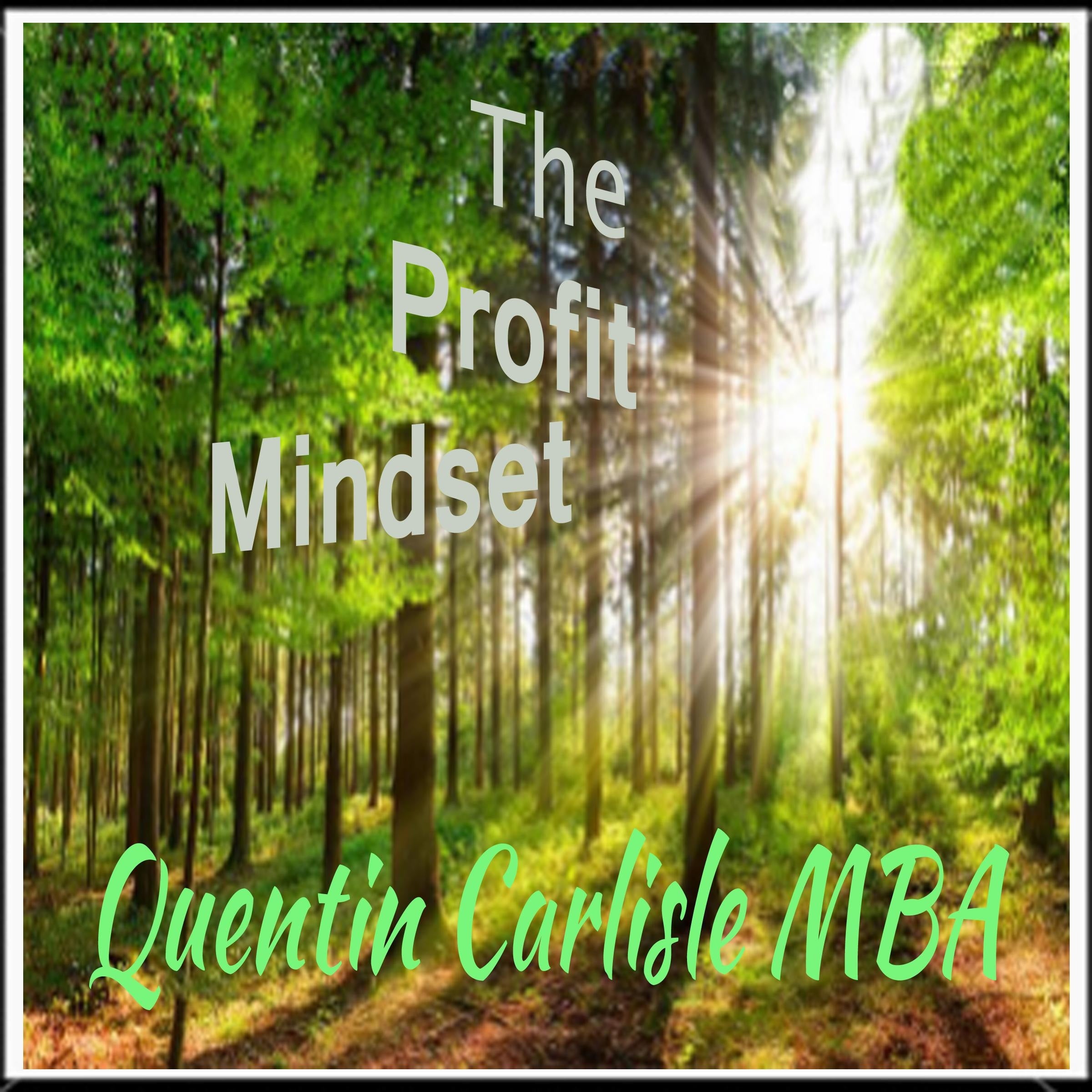 The Profit Mindset