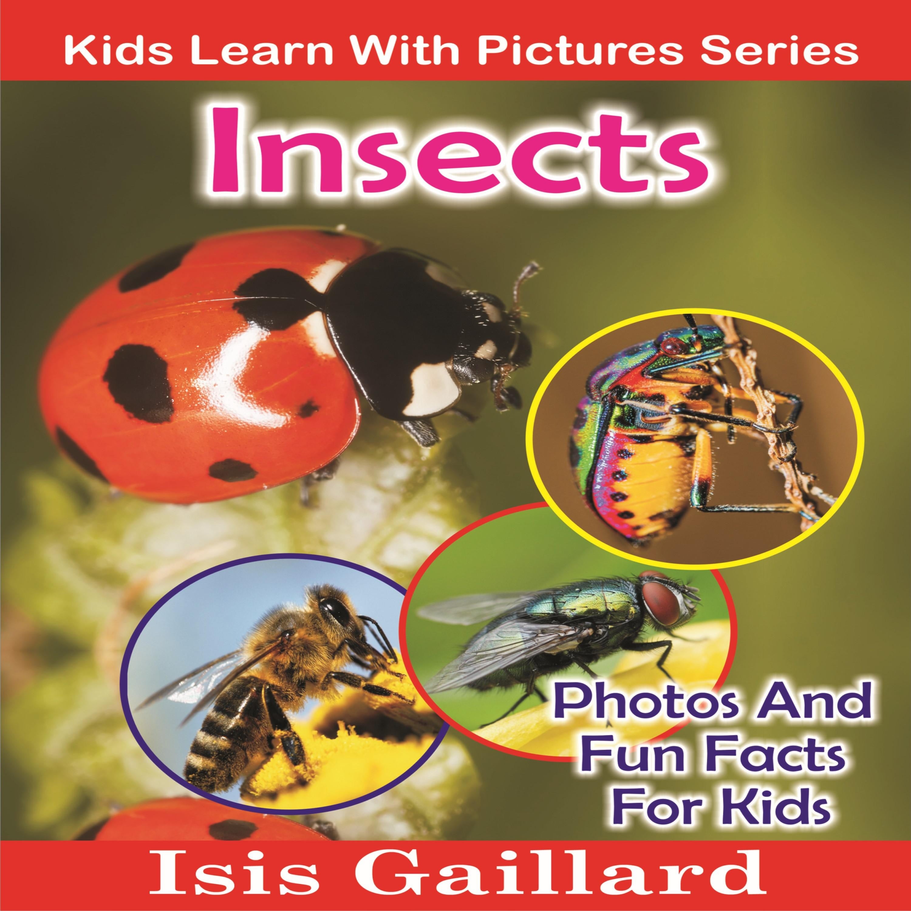 Insects