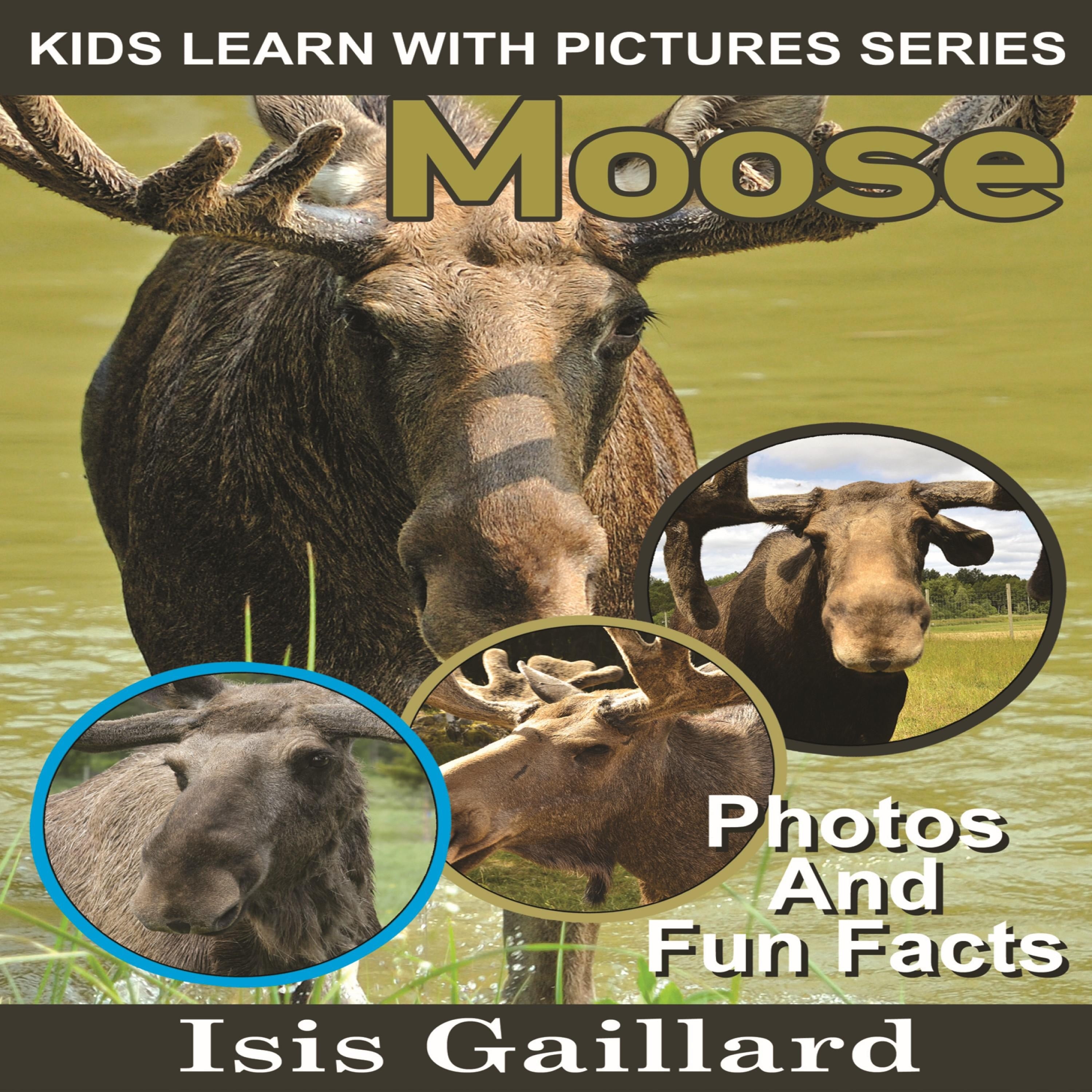 Moose