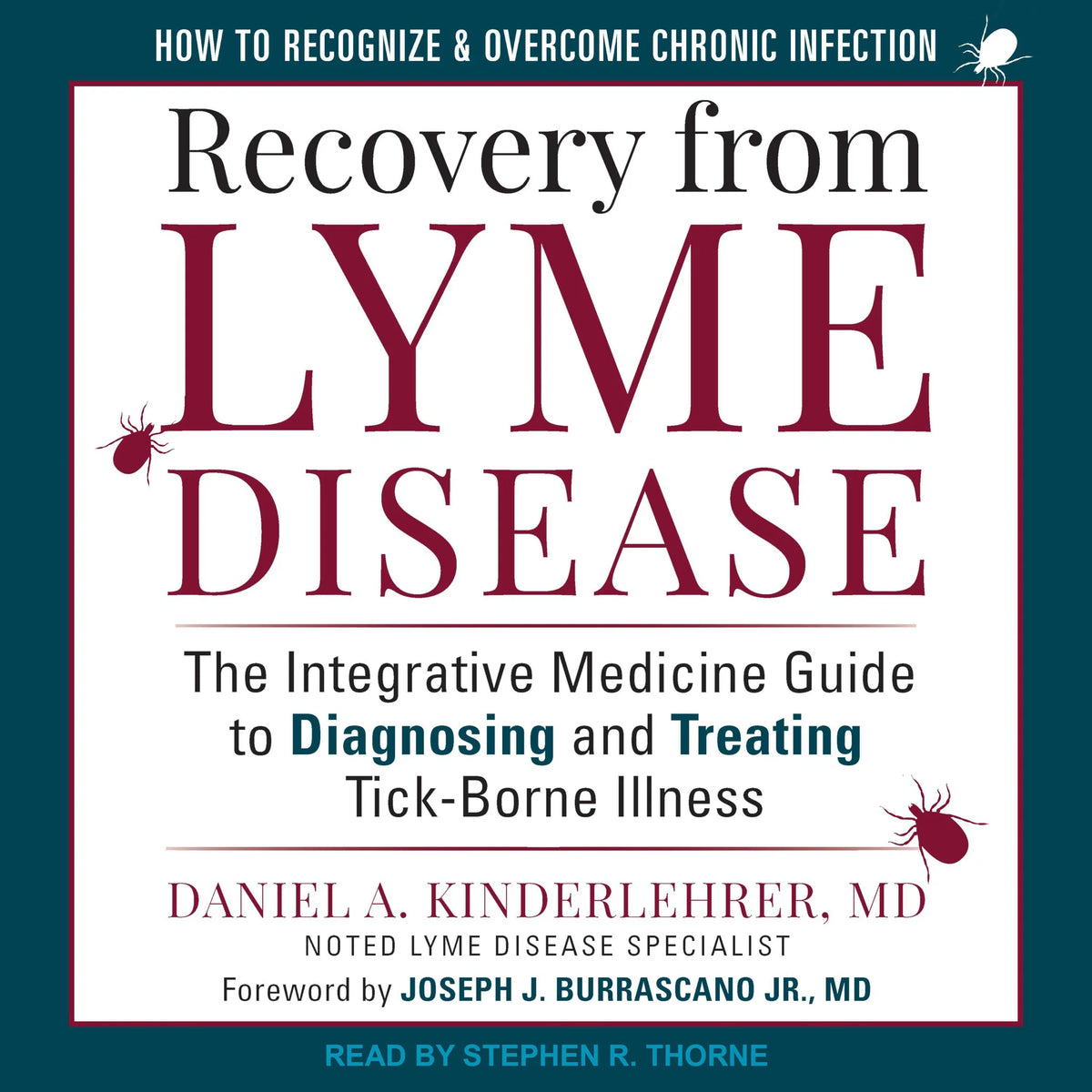 Recovery from Lyme Disease