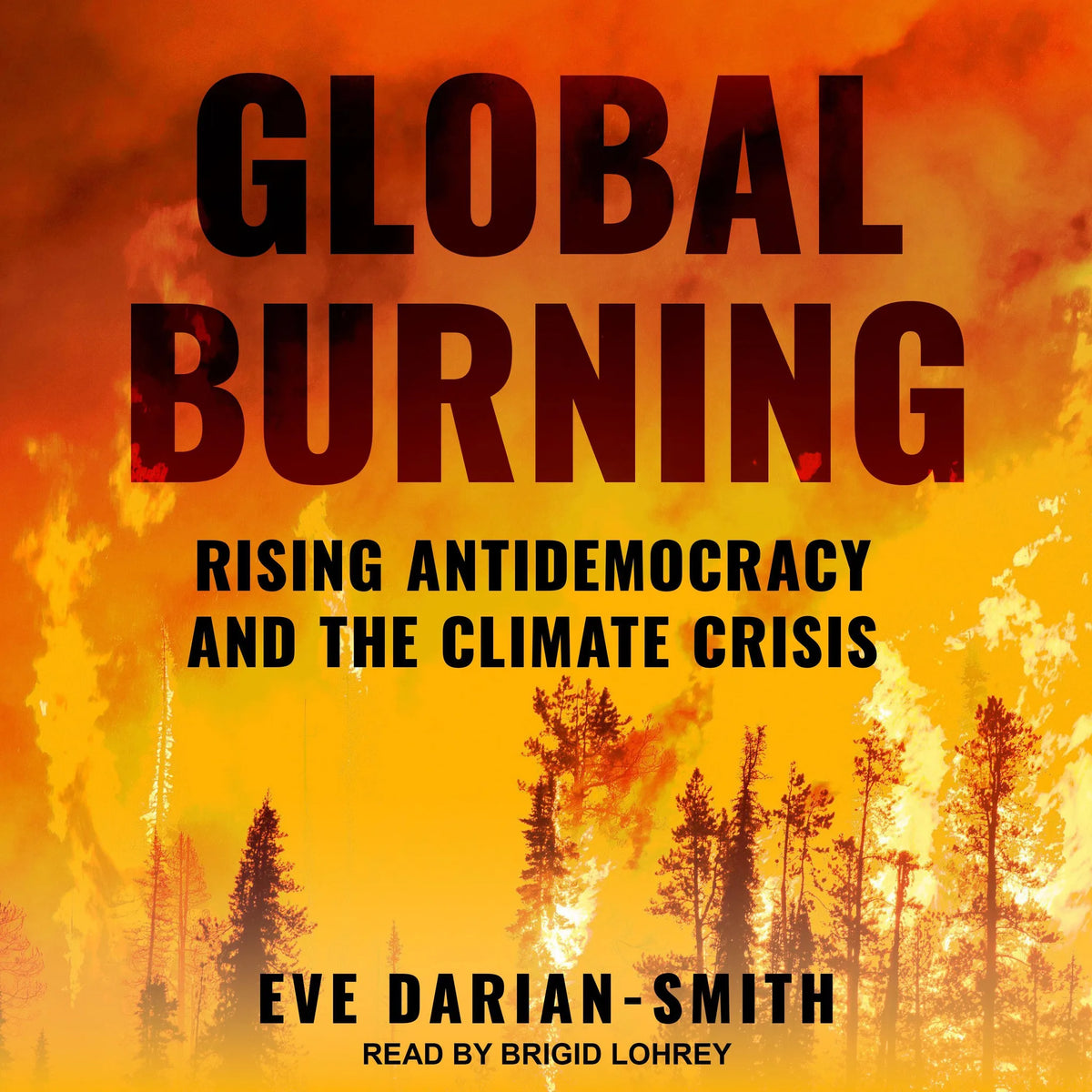 Global Burning