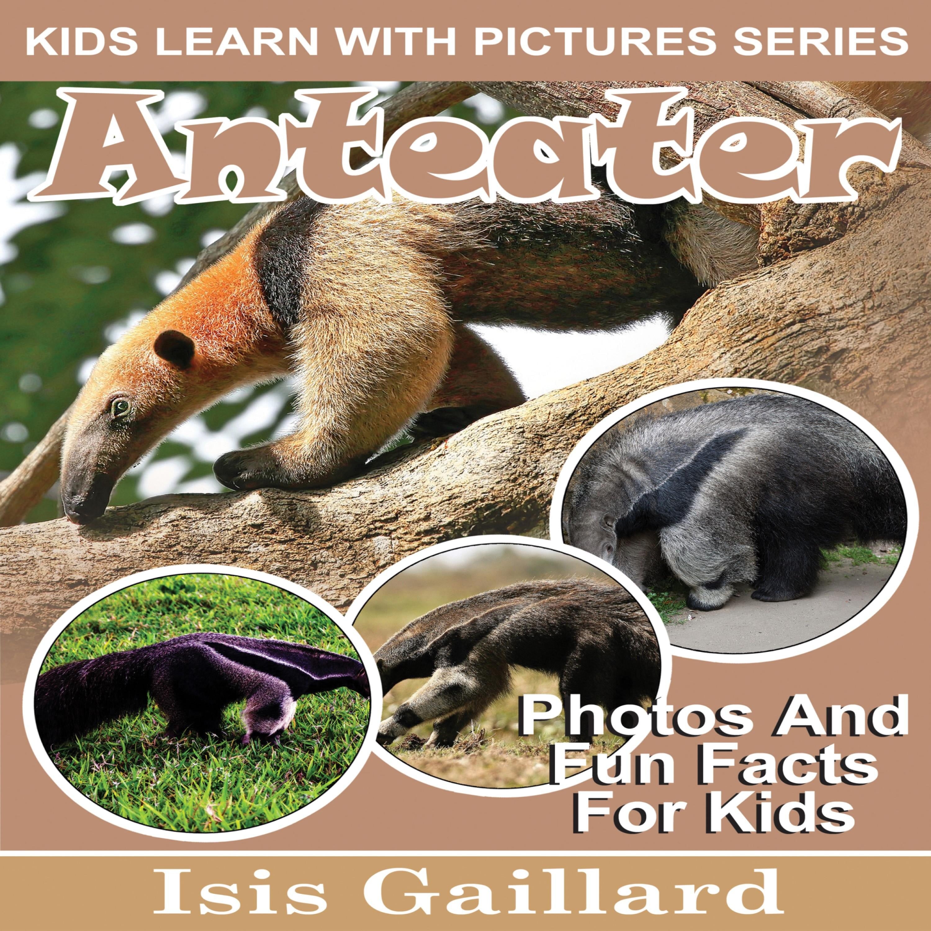 Anteater