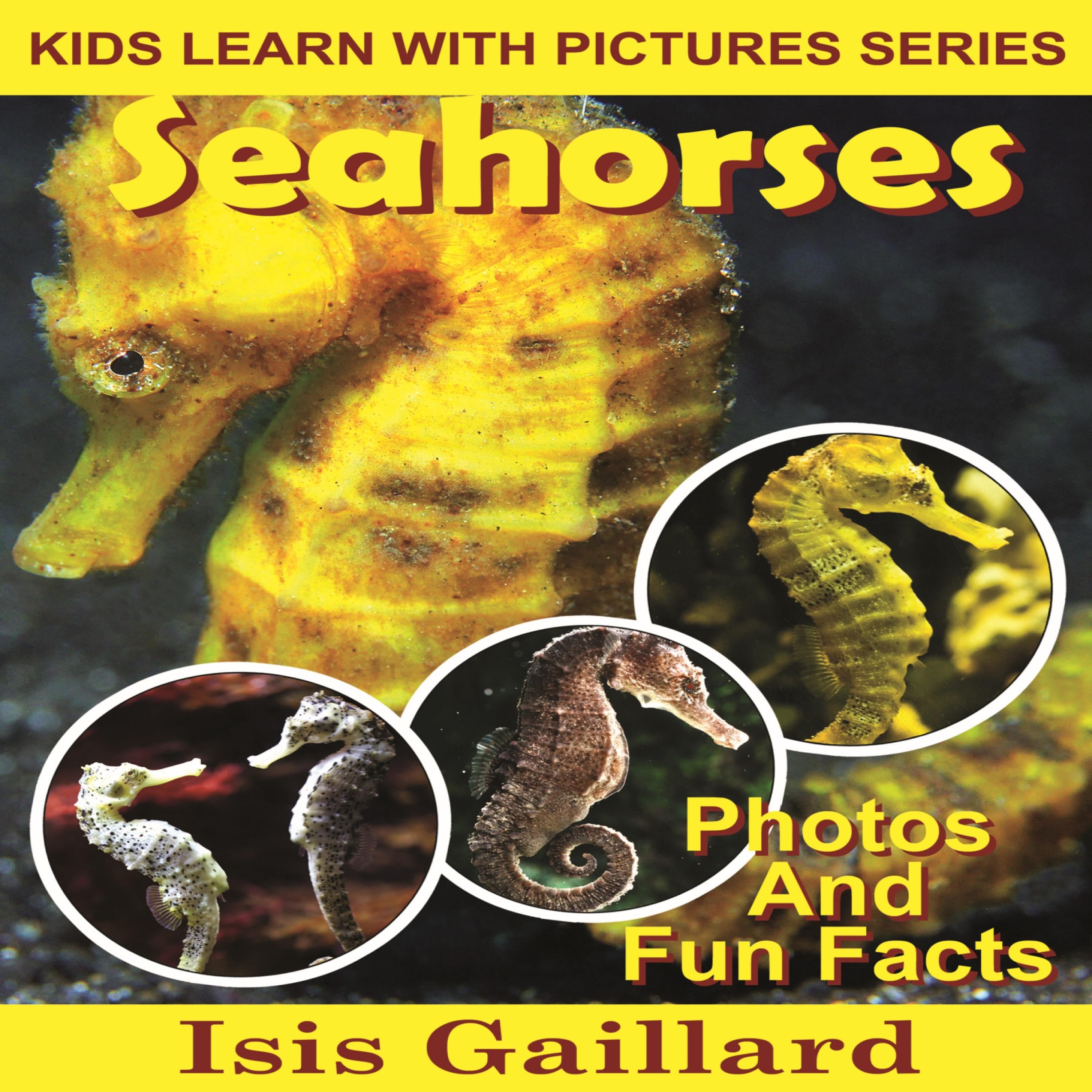 Seahorses
