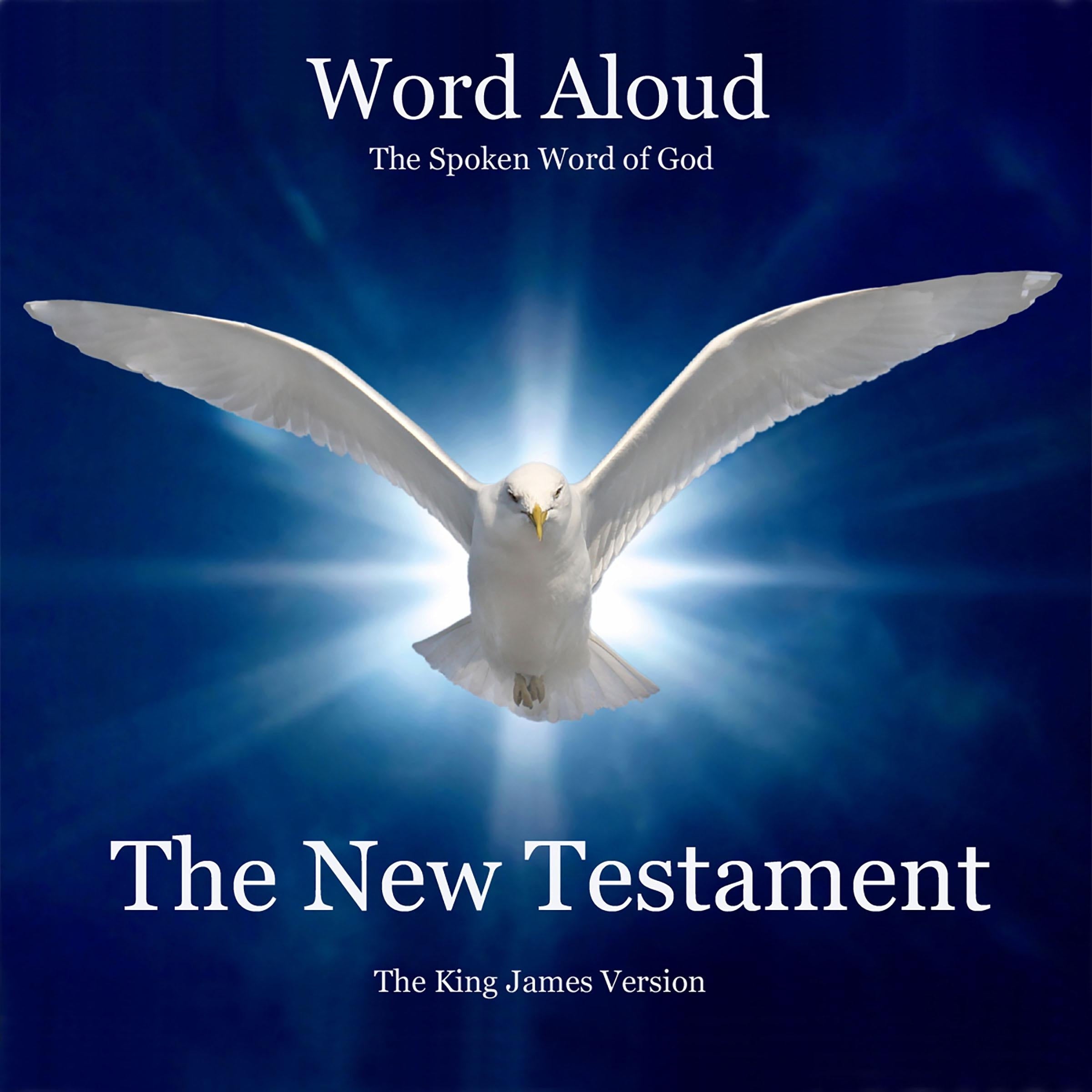 The King James Bible