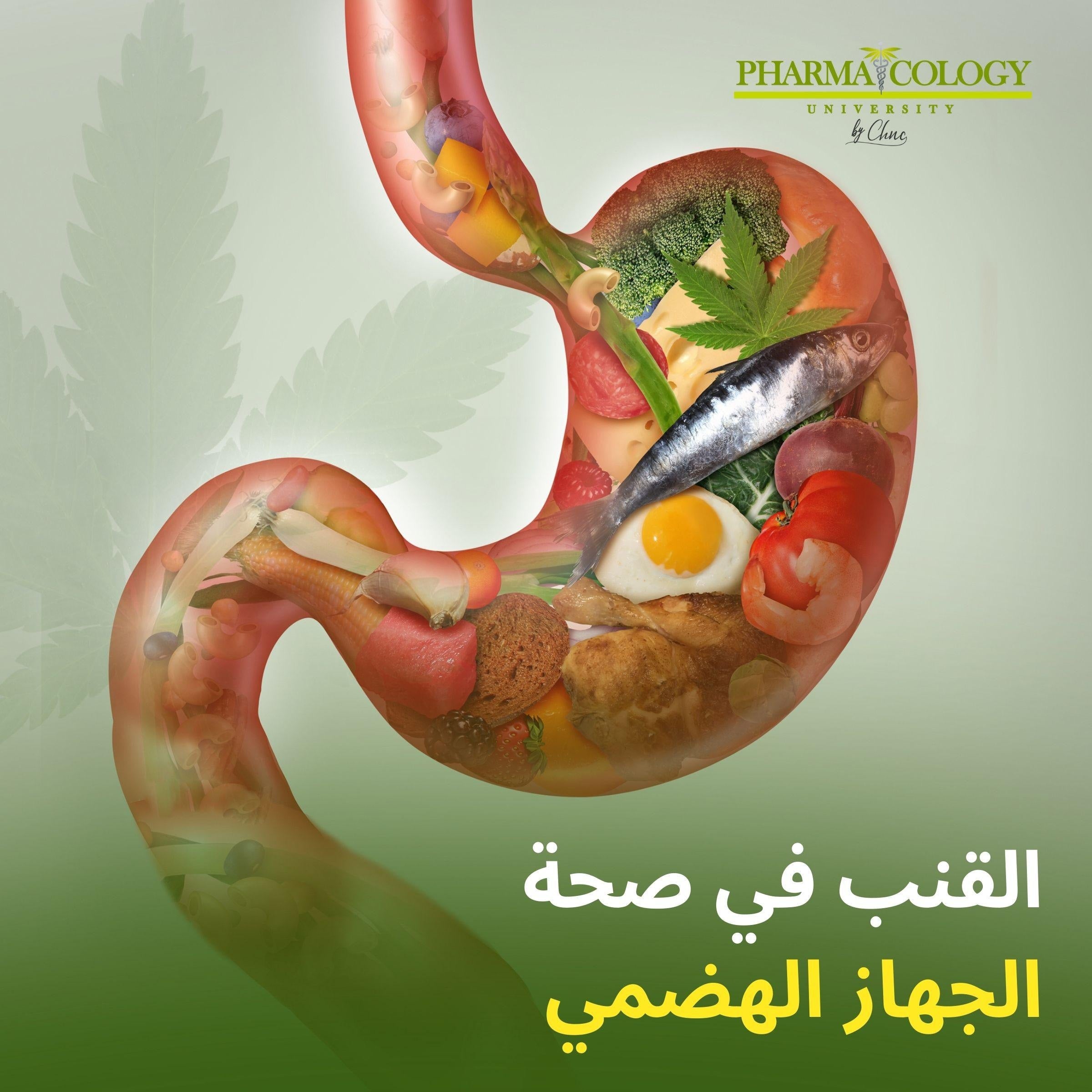 القنب في صحة الجهاز الهضمي