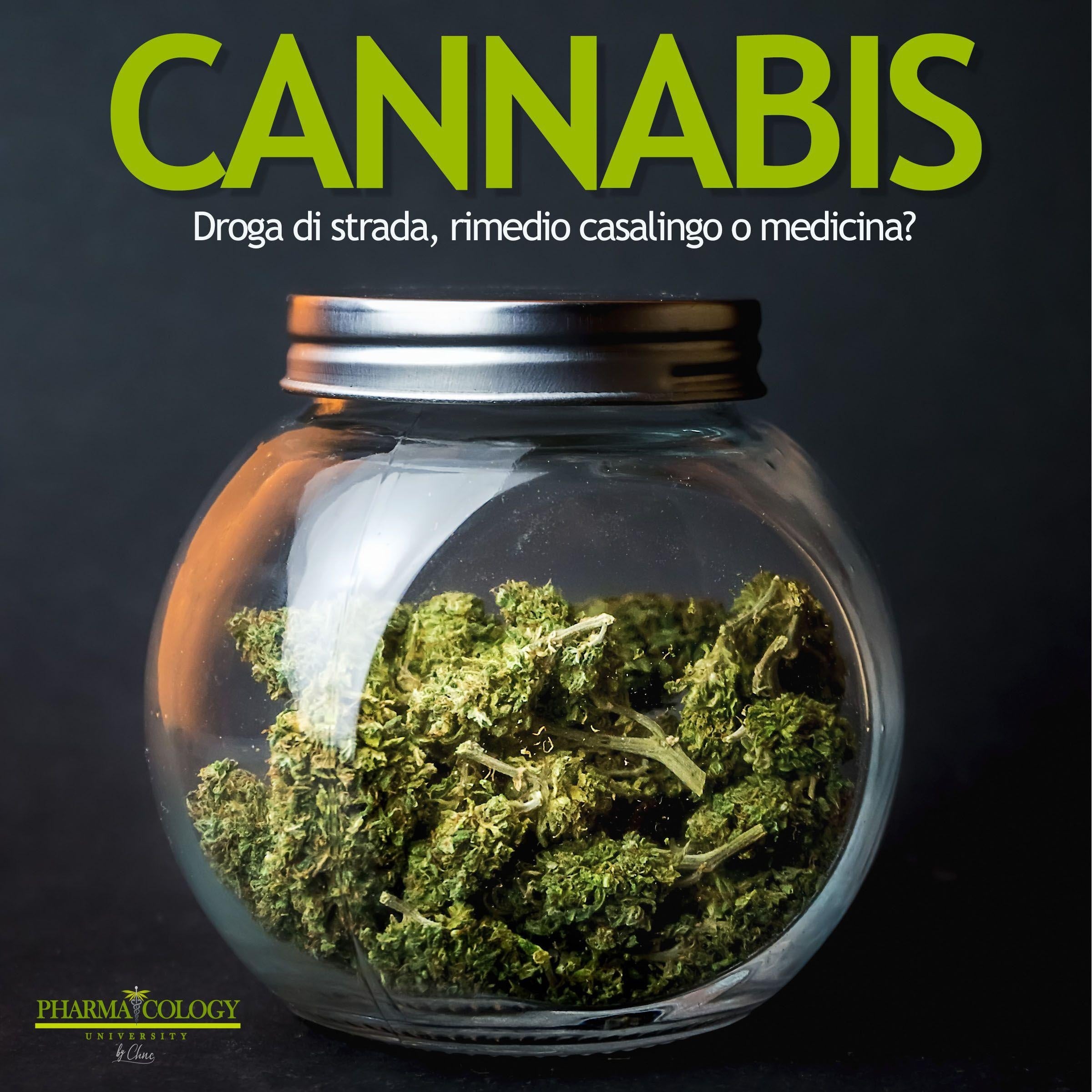 CANNABIS: droga di strada, rimedio casalingo o medicina?