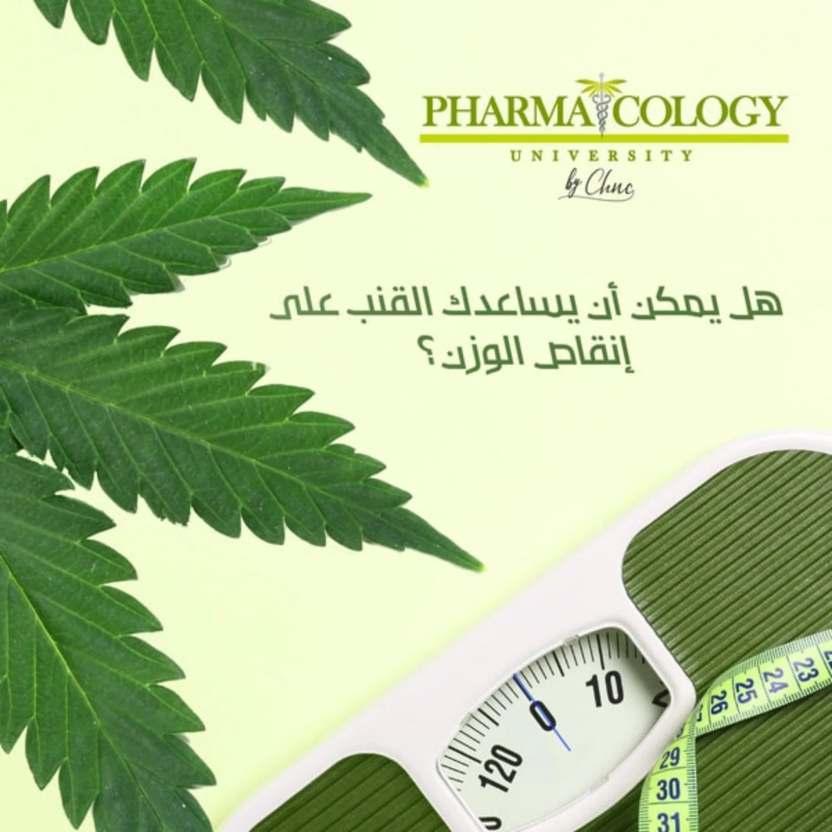 هل يمكن أن يساعدك القنب على إنقاص الوزن؟