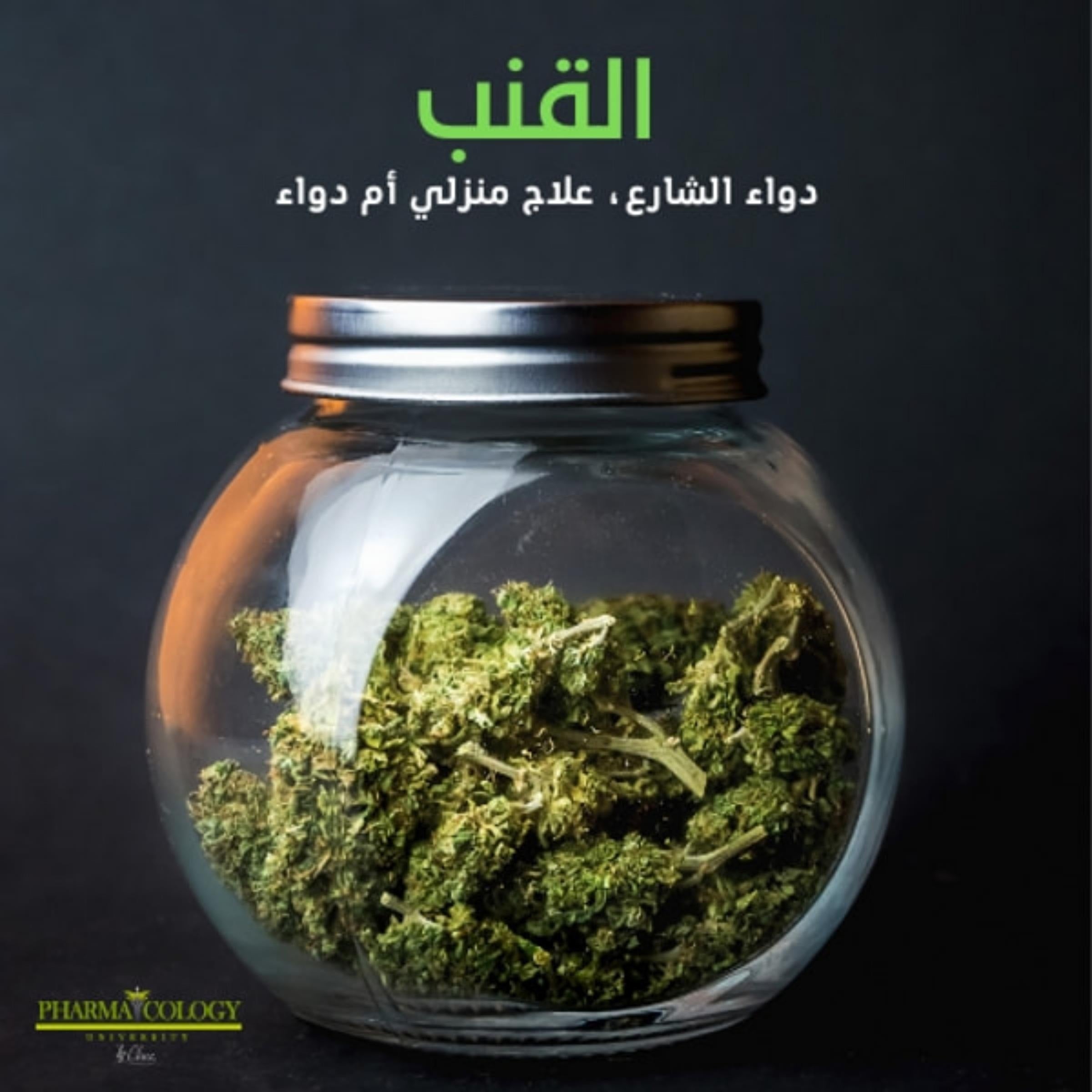 القنب. دواء الشارع، علاج منزلي أم دواء؟