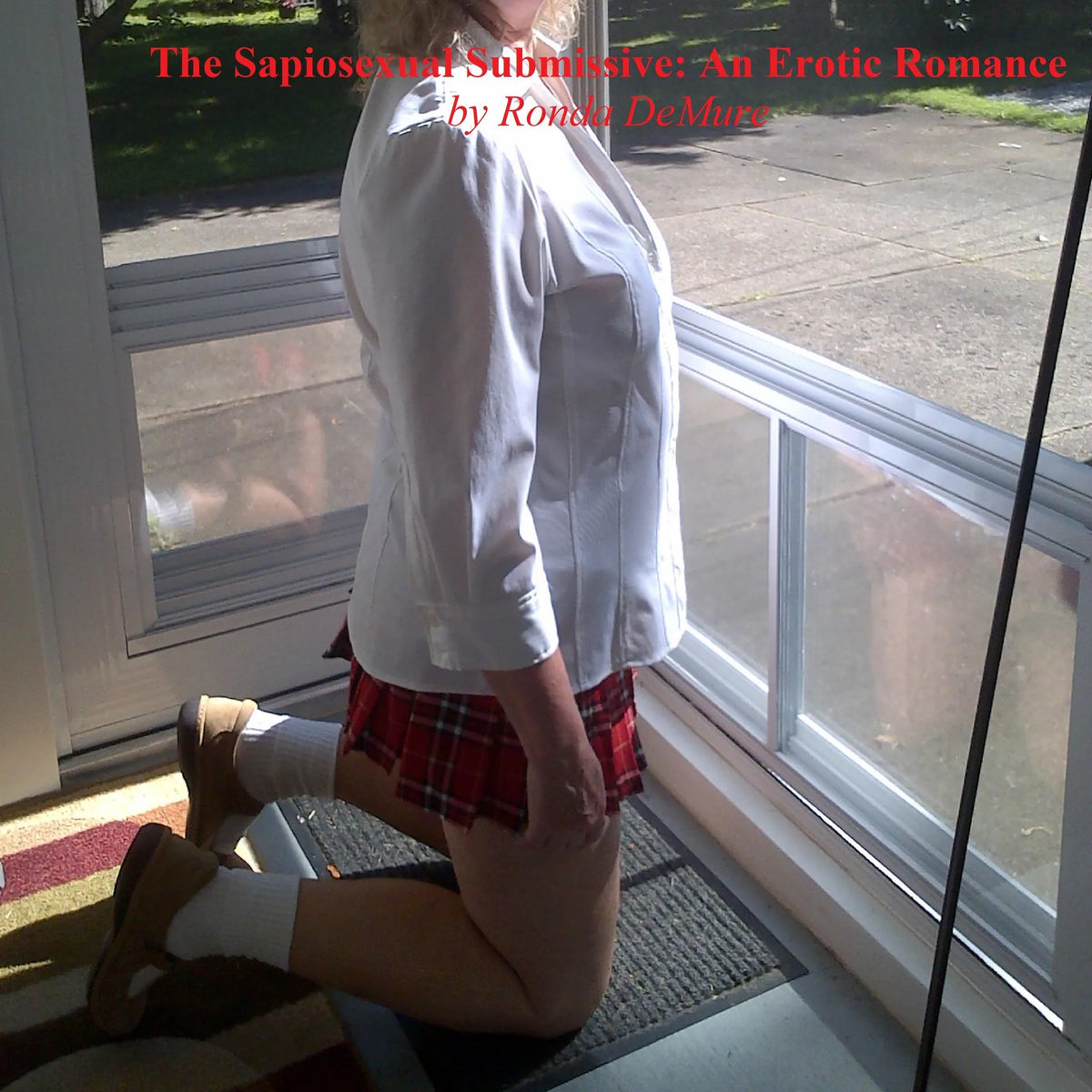 The Sapiosexual Submissive: An Erotic Romance