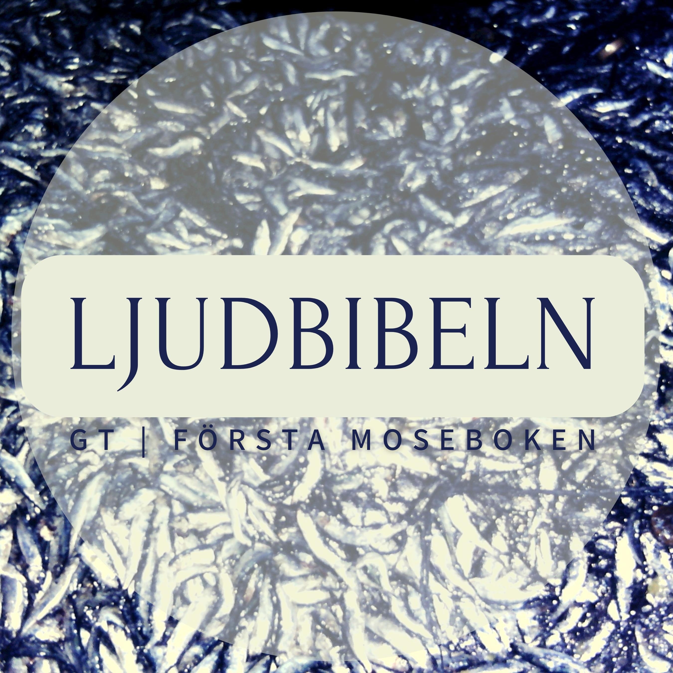 GT | Första Moseboken