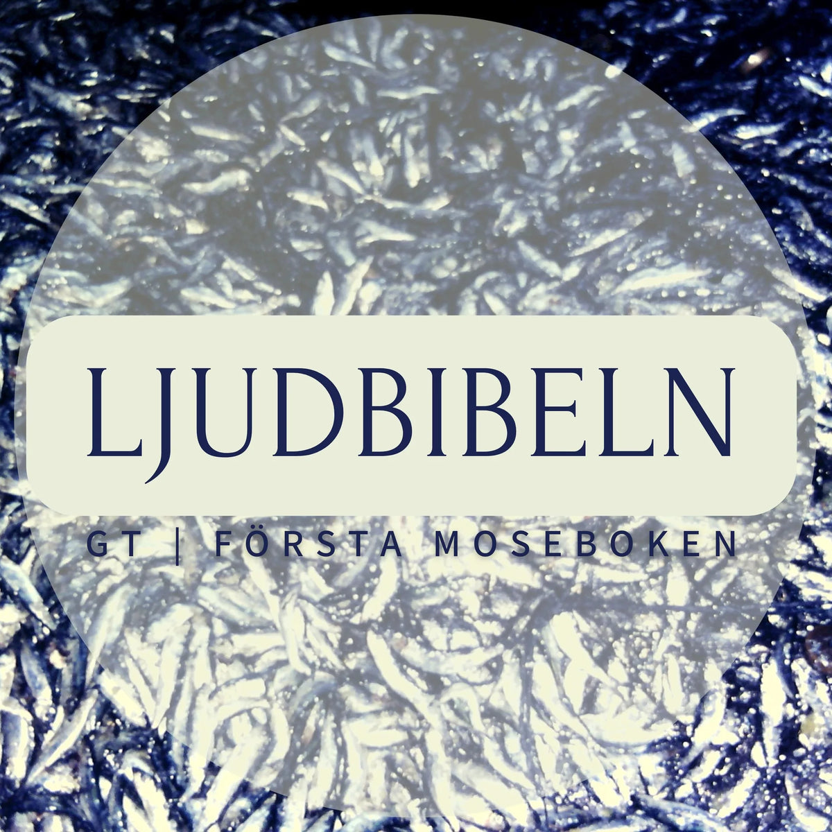 GT | Första Moseboken