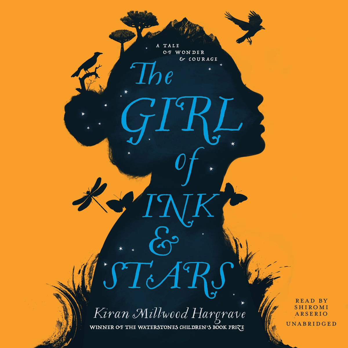 The Girl of Ink and Stars