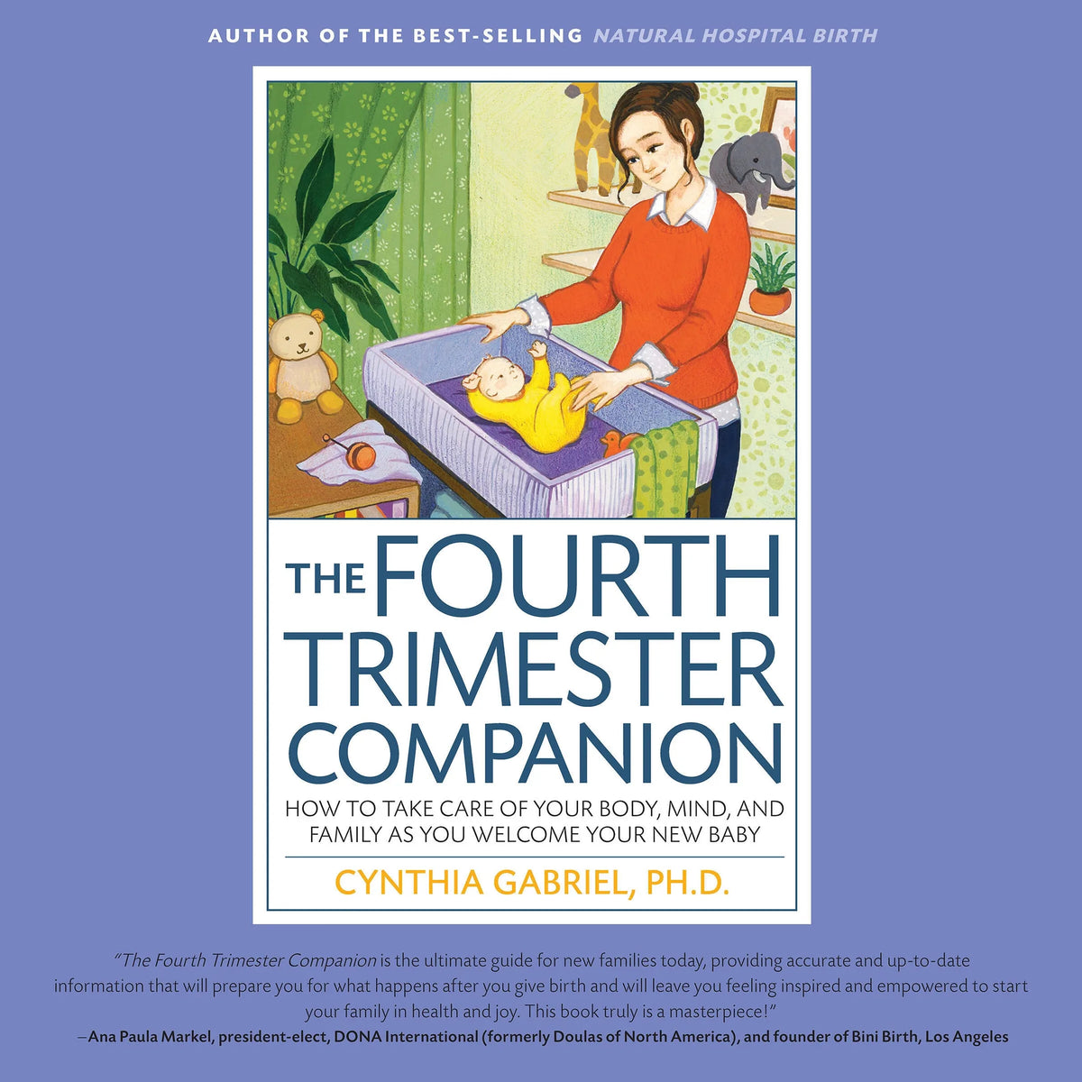 The Fourth Trimester Companion