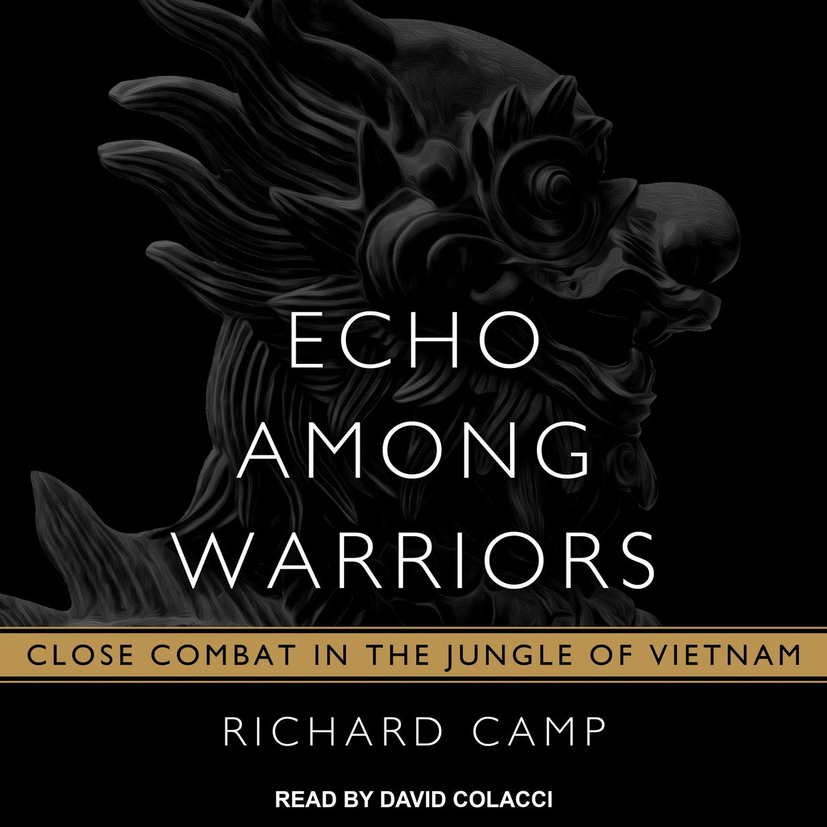 Echo Among Warriors