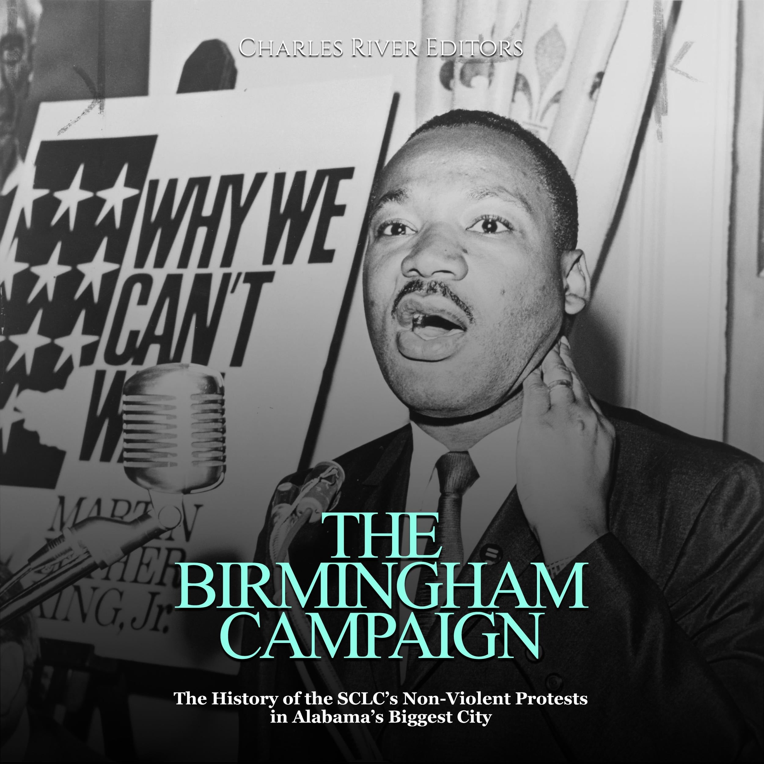 The Birmingham Campaign: The History of the SCLC's Non-Violent Protests in Alabama's Biggest City