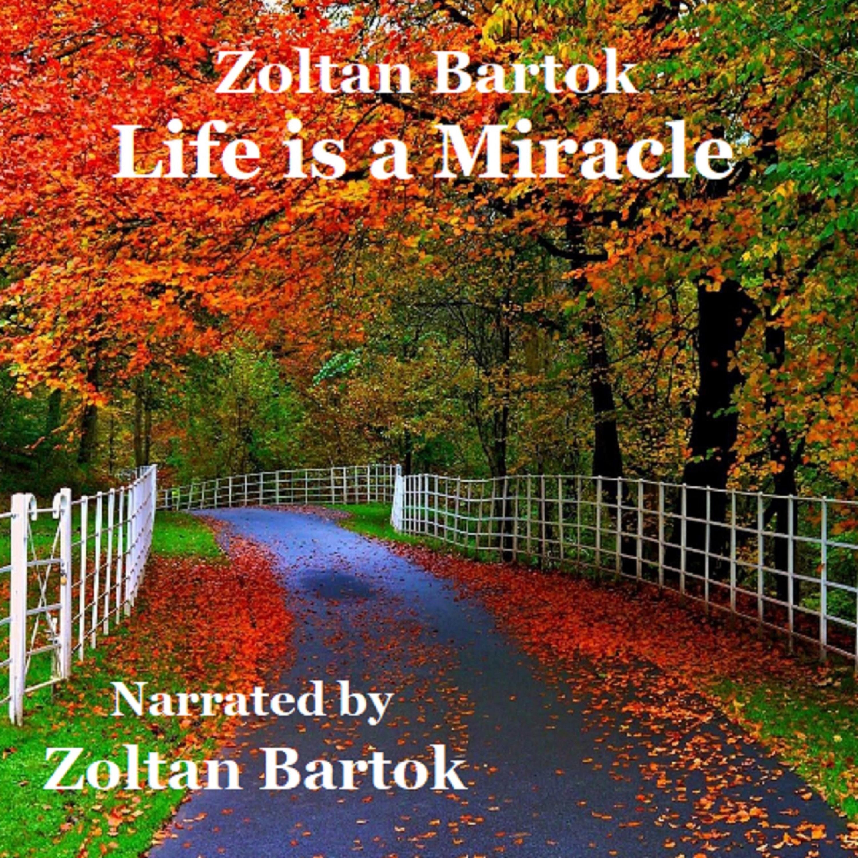 Life is a Miracle