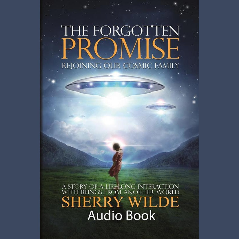 The Forgotten Promise