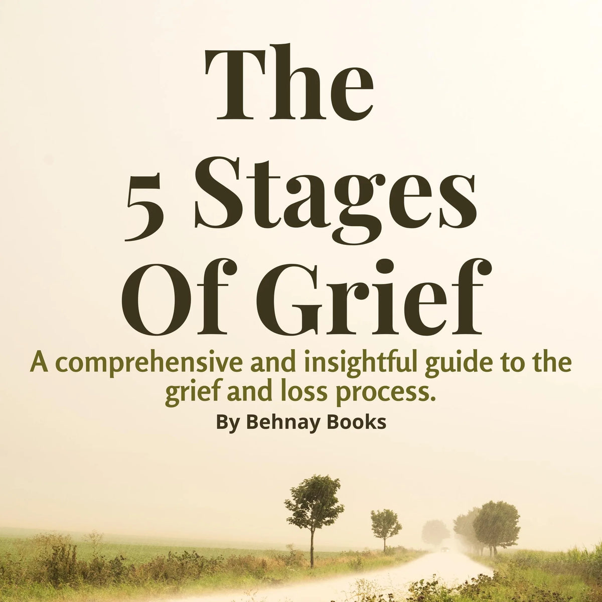 The 5 Stages of Grief