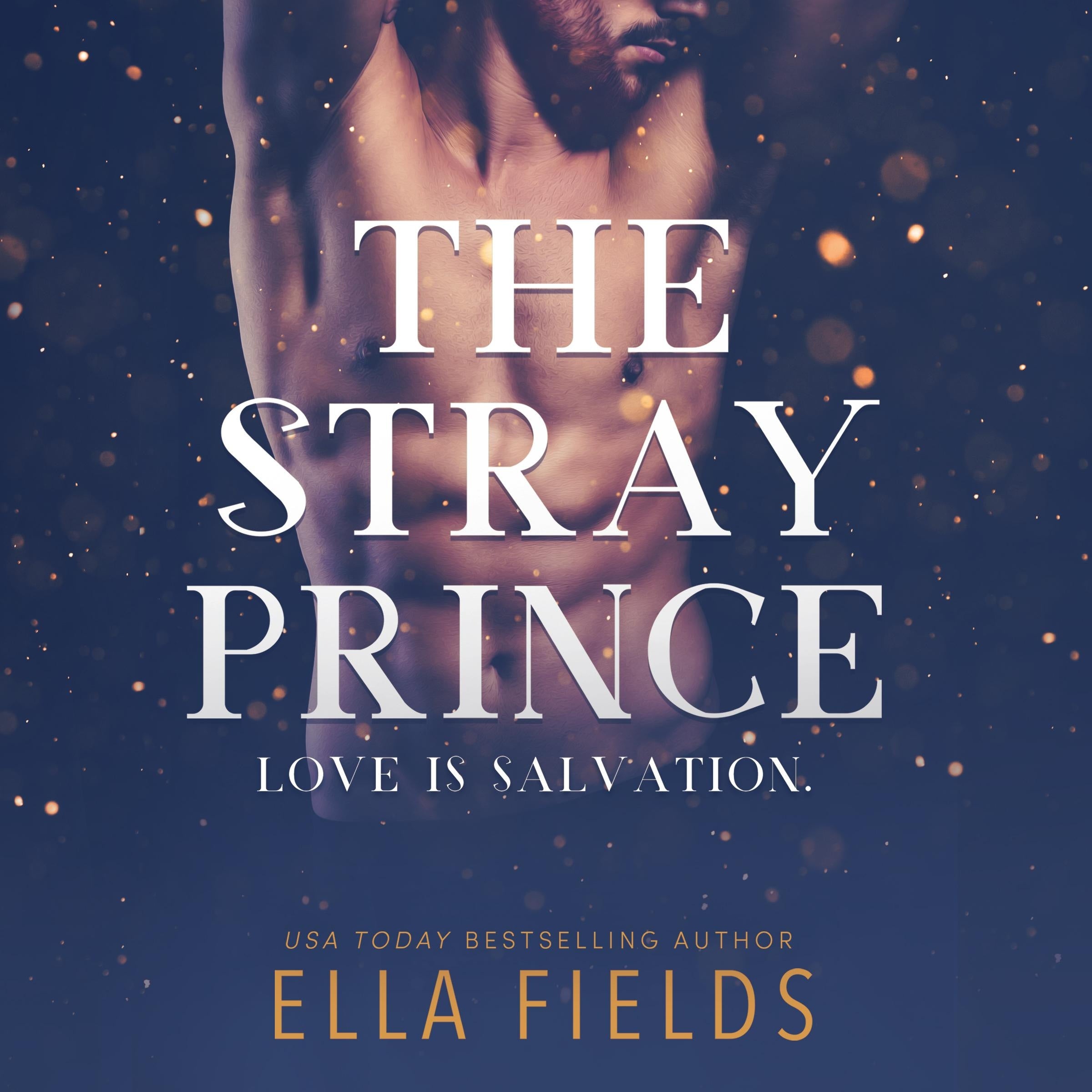 The Stray Prince